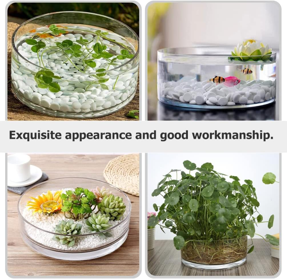 ARTIBETTER Glass Vases Bowl Terrarium Succulent Planter: Flower Glass Vase Air Plant Display Decorative Centerpiece Floral Container Fish Bowl for Home Wedding 20X20Cm Glass Containers