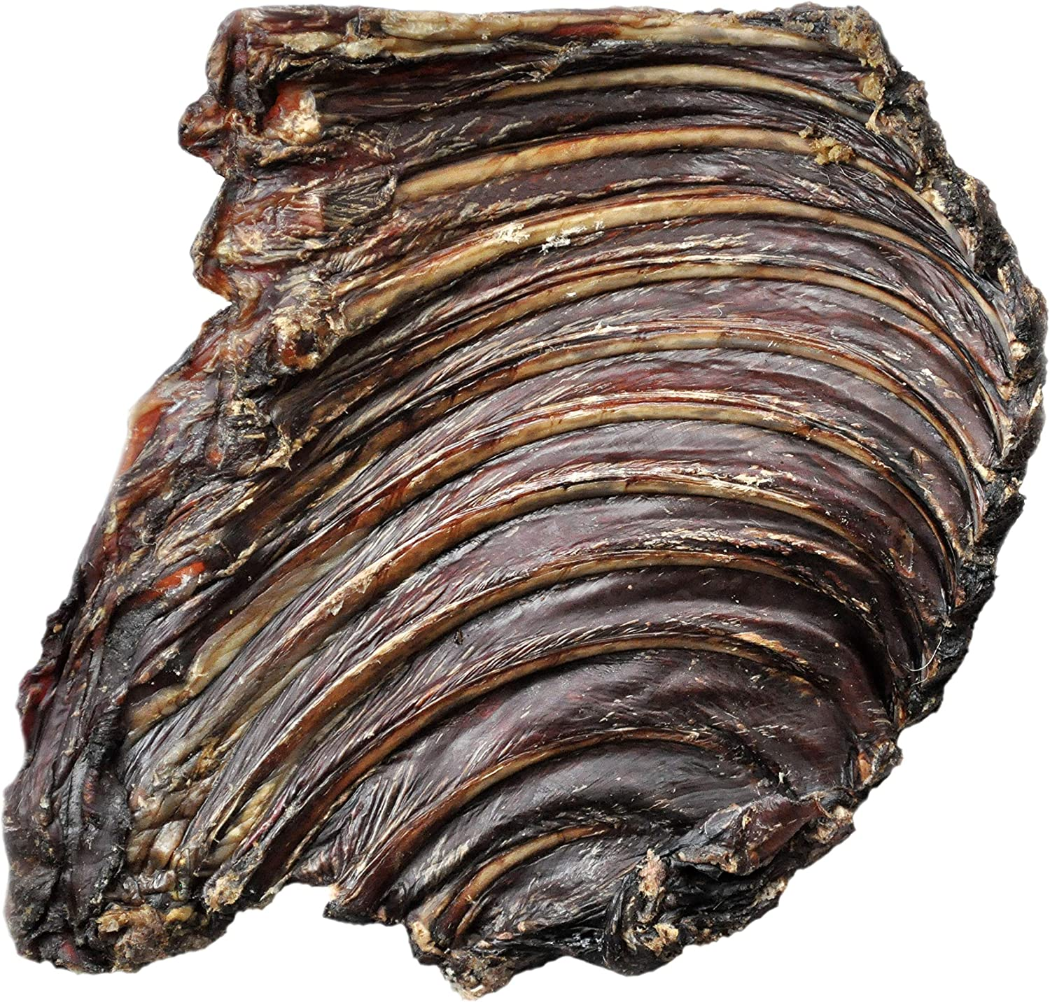 Kangaroo Rib Rack 10 Pack, Natural Australian Made Long Lasting Dog Treat Chew, Perfect Teeth Treat