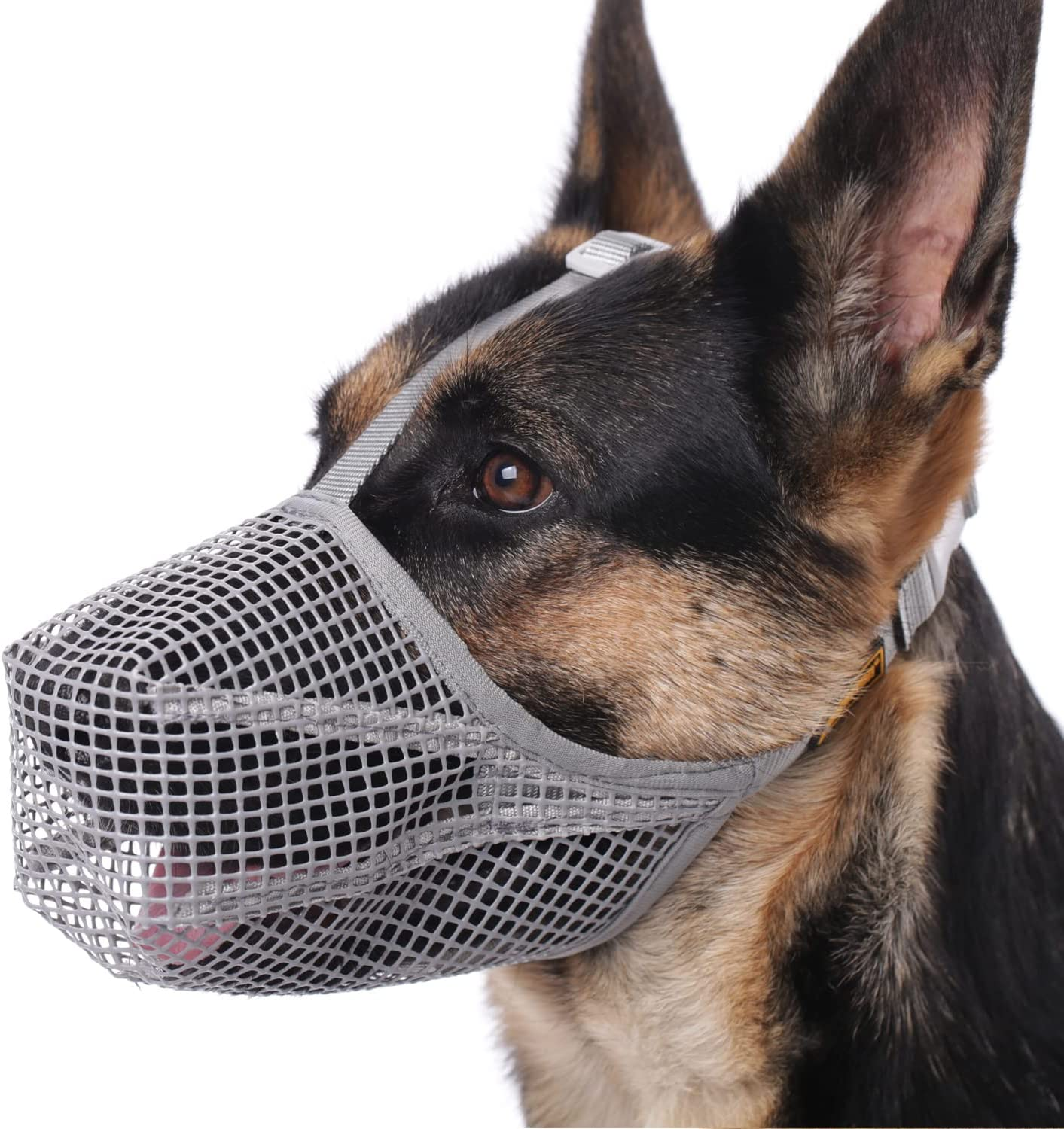 Dog Muzzle, Soft Mesh Covered Muzzles for Small Medium Large Dogs, Poisoned Bait Protection with Adjustable Straps, Prevent Biting Chewing and Licking (XL)