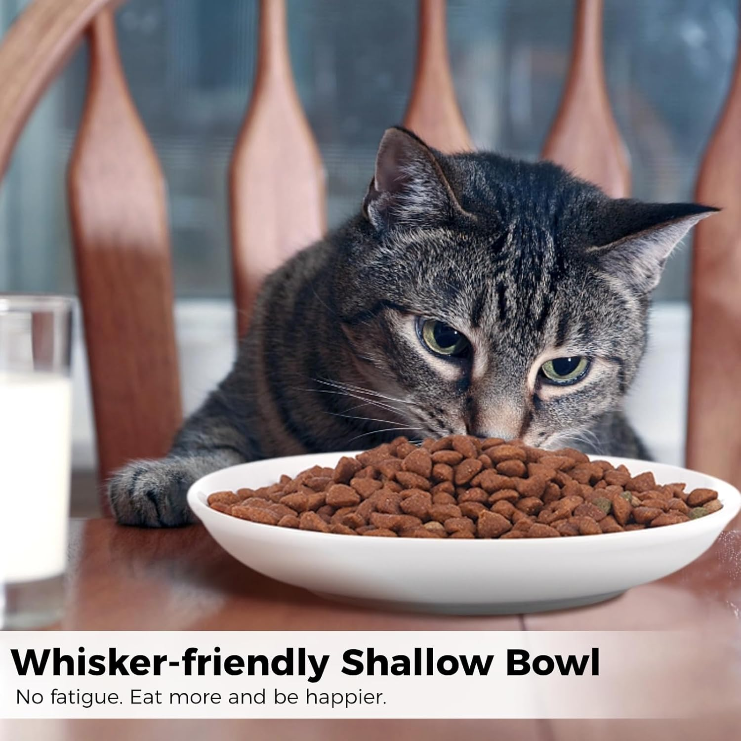 2 Pcs Cat Bowls, Wide & Shallow Cat Plates for Whiskey Fatigue Relief, 15Cm/6&rsquo;' Ceramic Cat Feeding Dishes Cute Fish Bone Design, Wet & Dry Food Feeding Bowls for Kittens, Cats, Puppies - White image number 7