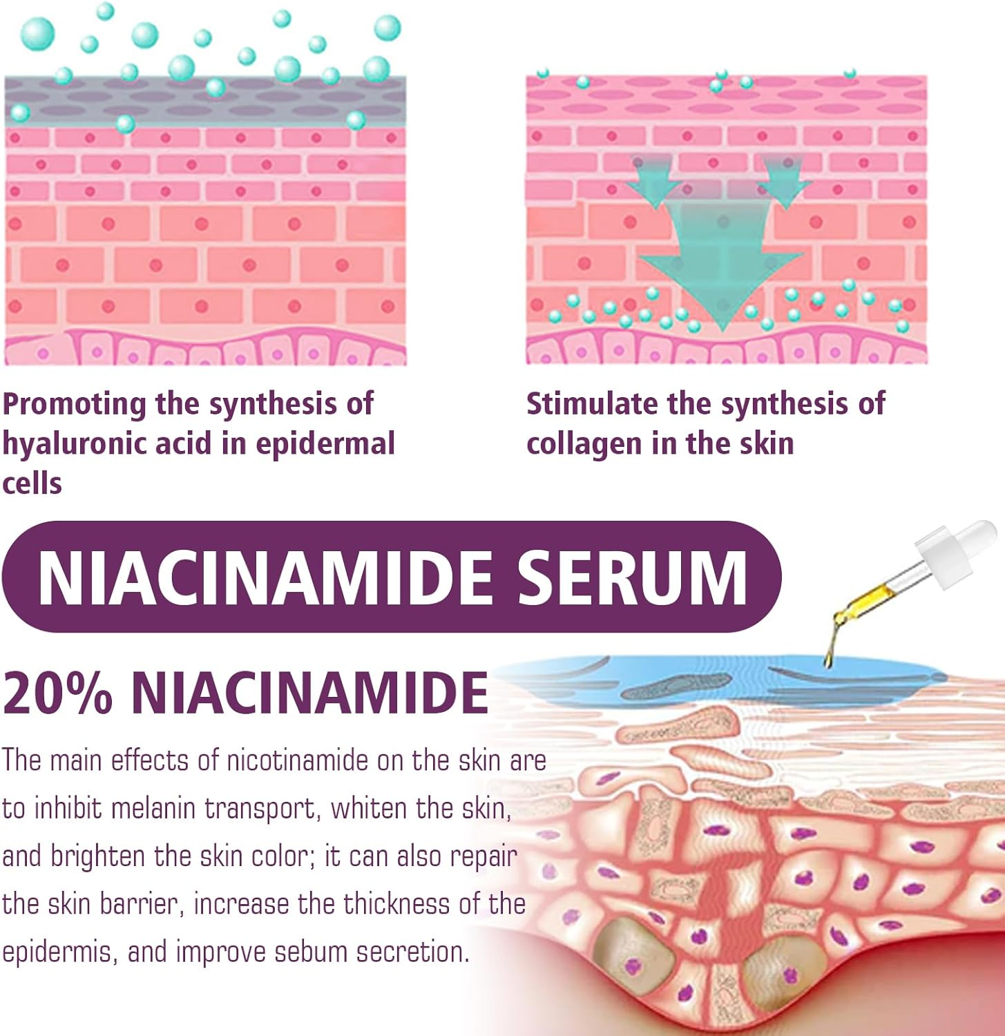 Niacinamide 20% Serum for Face, Brightening, Enhances Elasticity, Moisturizing, Anti-Wrinkle, Even Skin Tone, Smoothes Fine Lines, Reduces Pigmentation, Pores Care for Sensitive Skin (6Pcs) - 12Pcs image number 5