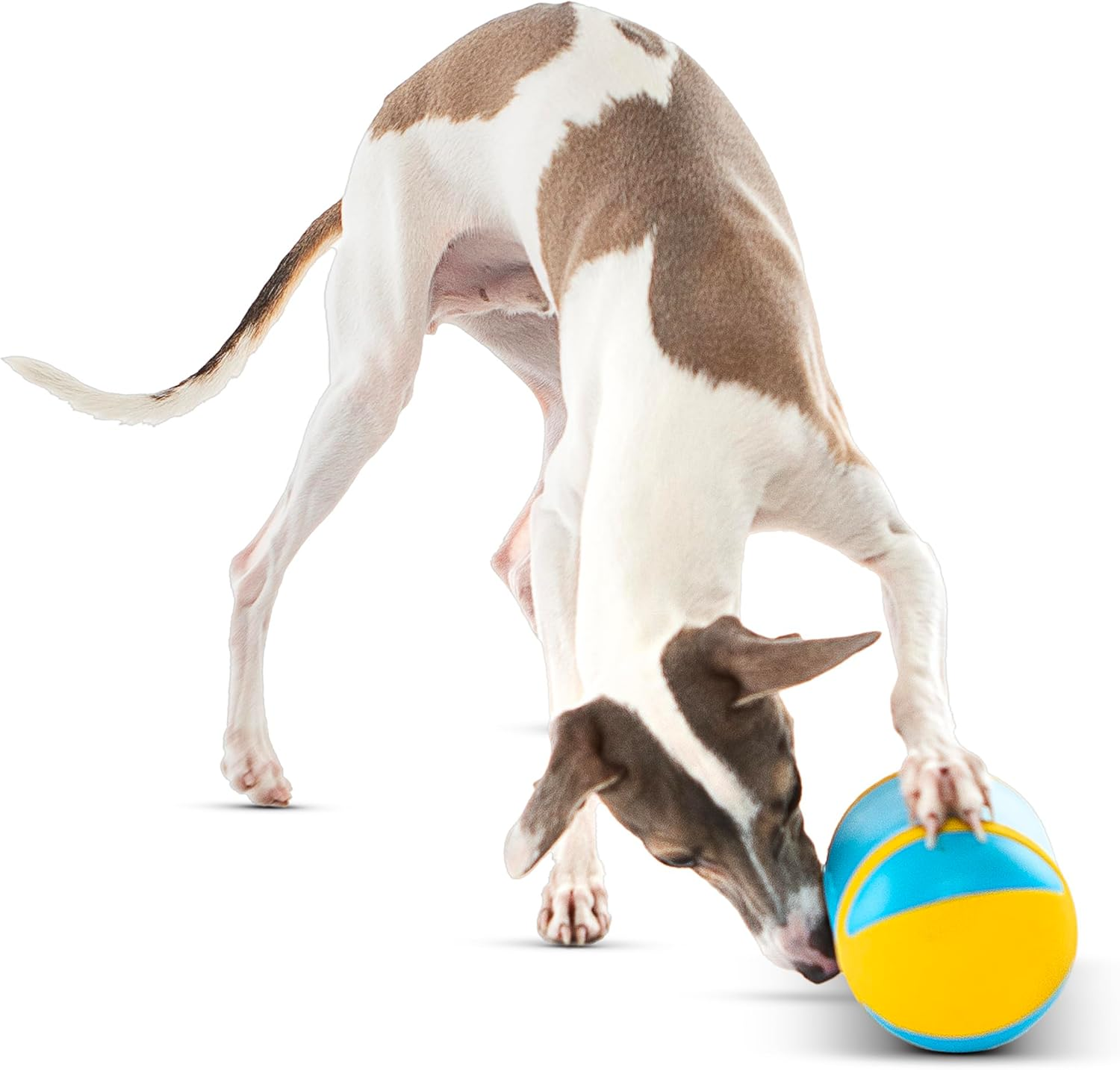 GURU Rock 'N Treat Medium 15X9X9Cm