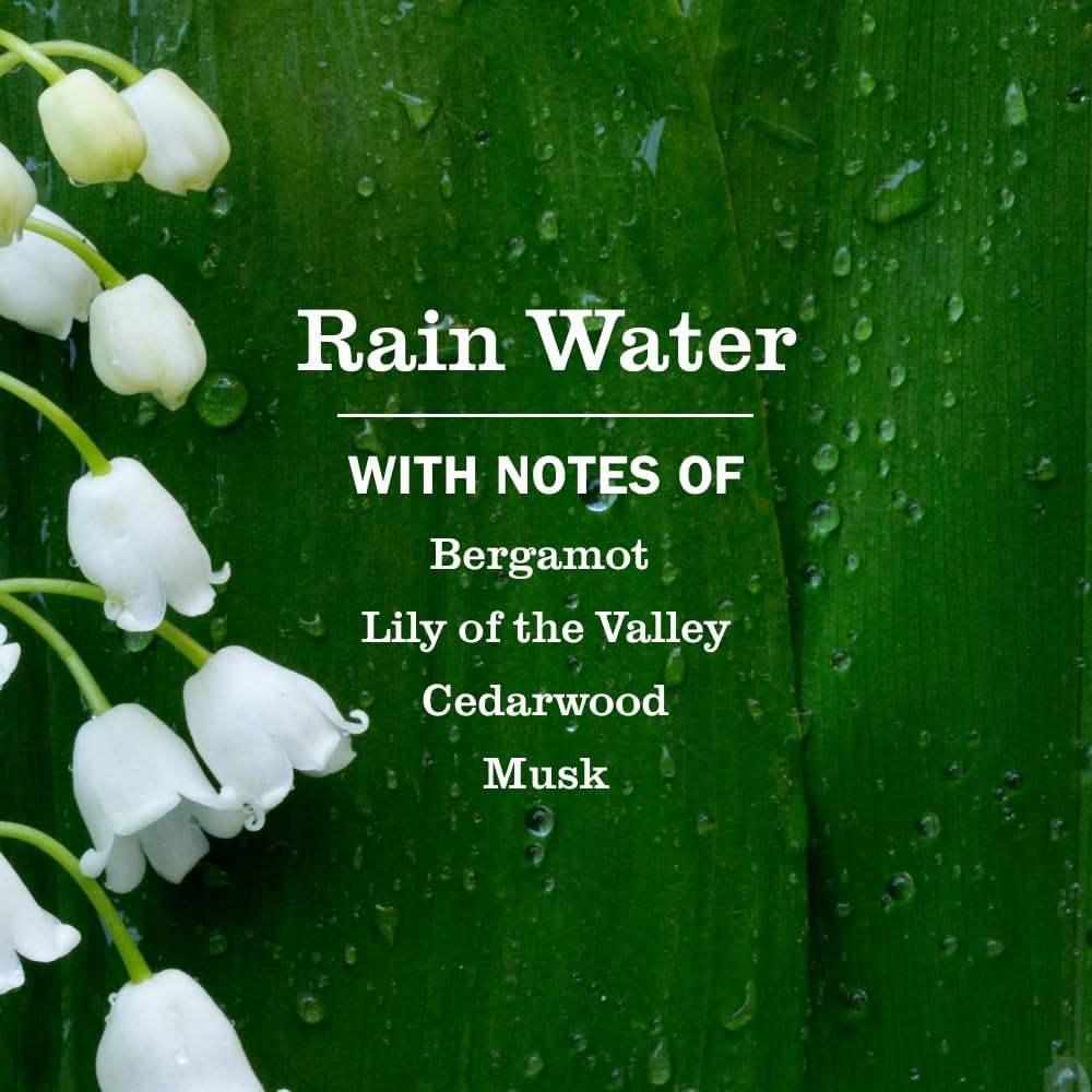 Mrs. Meyer&rsquo;S Clean Day Liquid Hand Soap, Rain Water Scent, 12.5 Oz Bottle (Pack of 3) image number 1