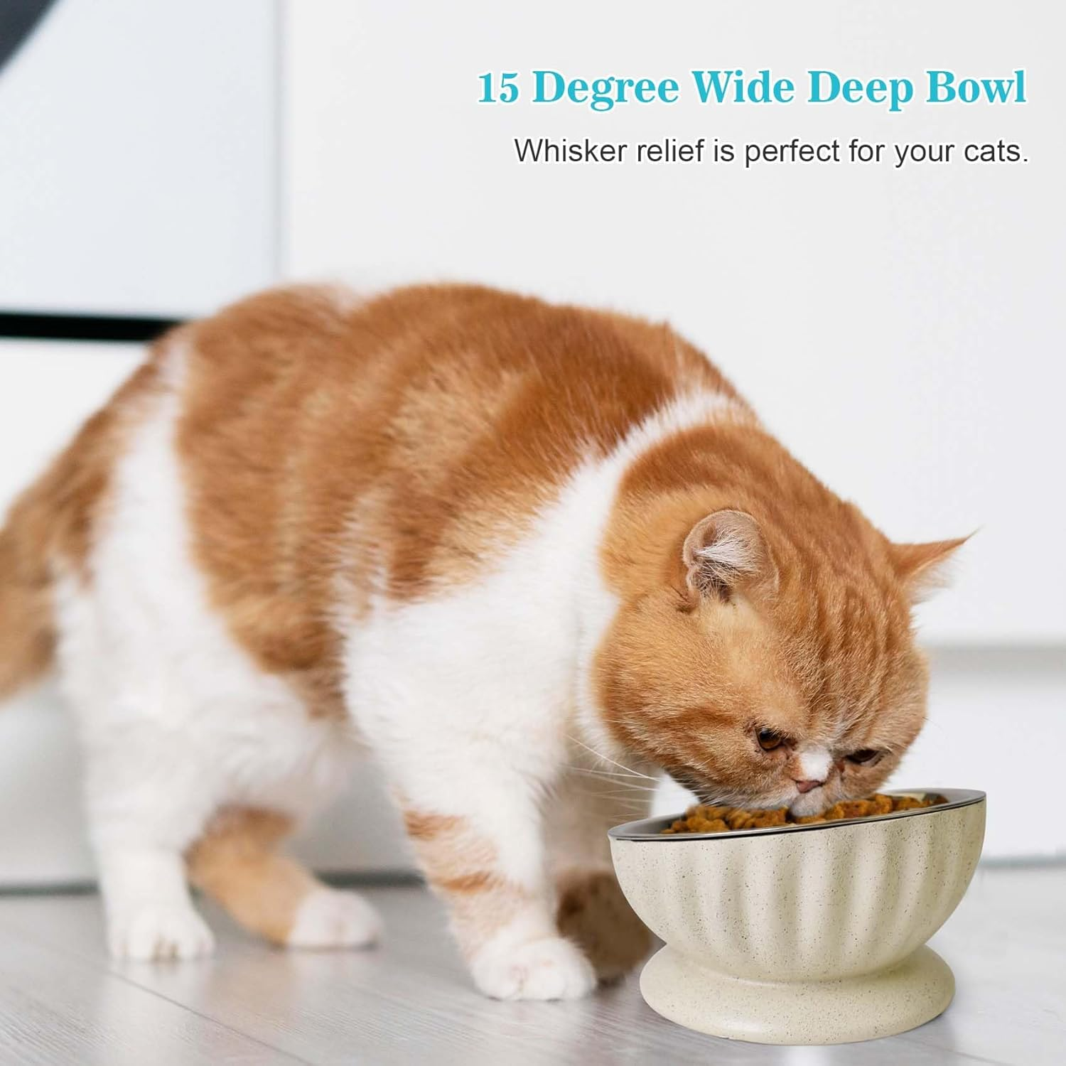 Dog Bowl for Small Dogs, Removable Stainless Steel Dog Bowls with Resin Base, Elevated and Tilted 15&deg; Pet Food/Water Bowl,15Oz Pet Food Bowl for Small Sizes image number 1