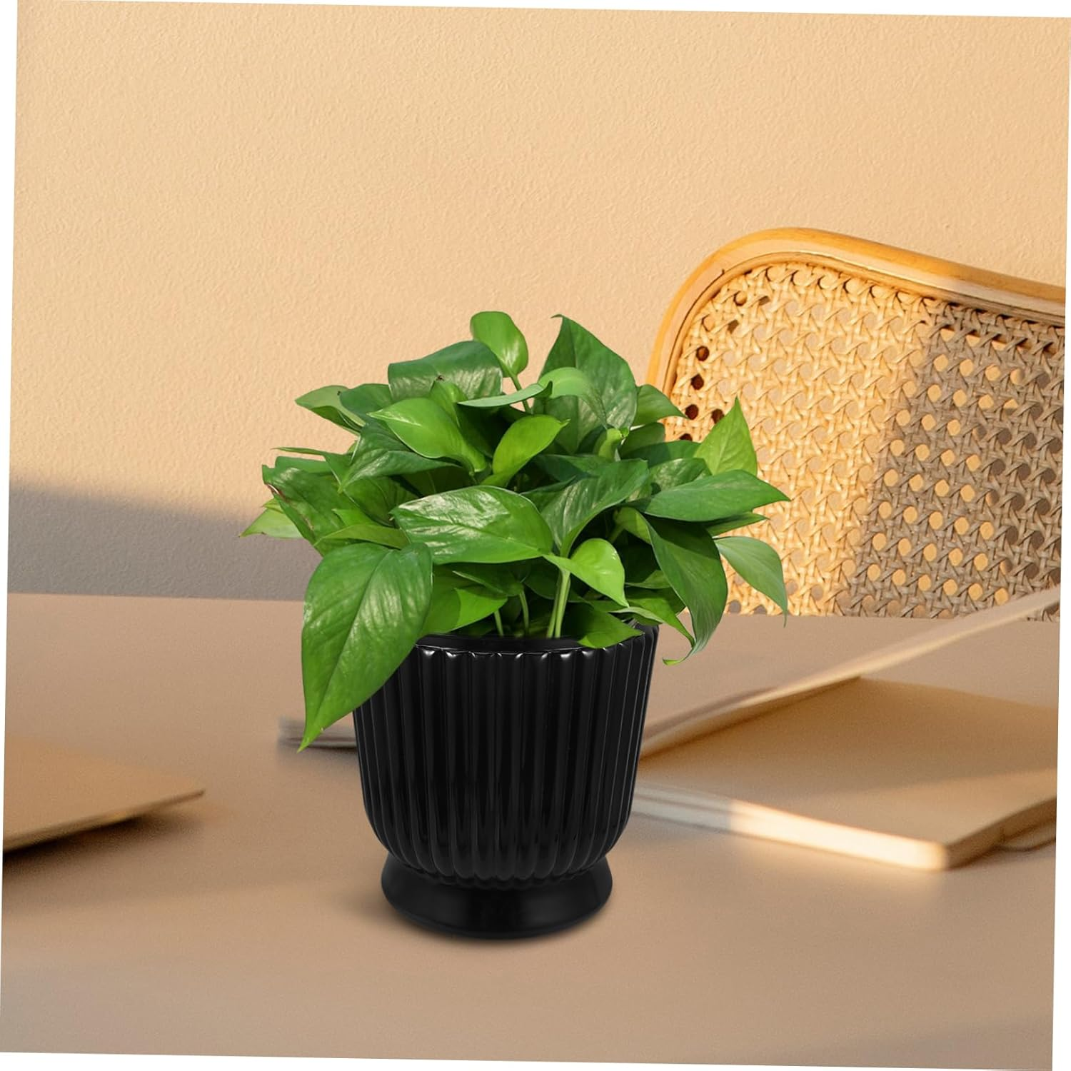 FUNOMOCYA Elegant Glass-Like Hydroponic Planter Self-Watering Planter Box Drainage for Indoor Plants Versatile Pots for Soil Hydroponic Gardening image number 5