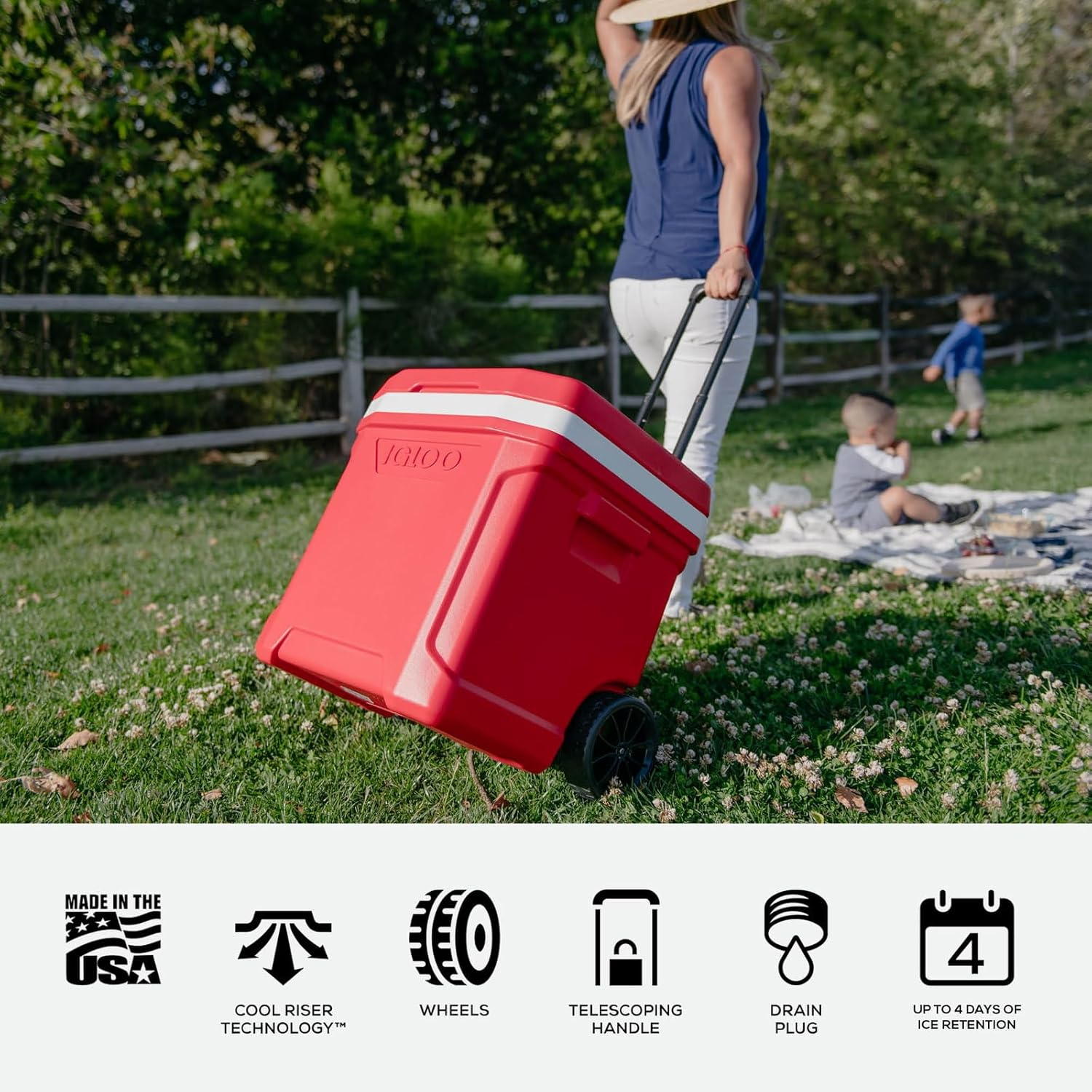 Igloo Profile Hard Coolers image number 3