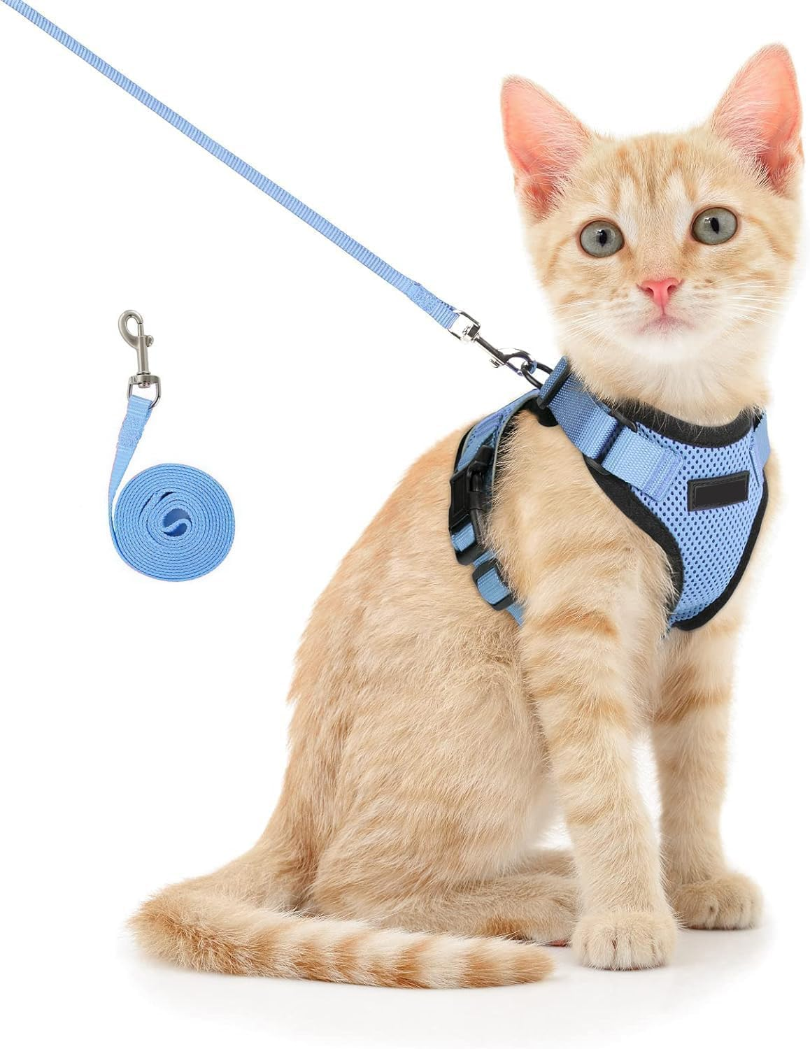 Limcryspp Cat Harness and Belt, Breathable Cat Belt, Adjustable anti Escape Soft Cat Vest Harness for Outdoor Activities S (Blue)
