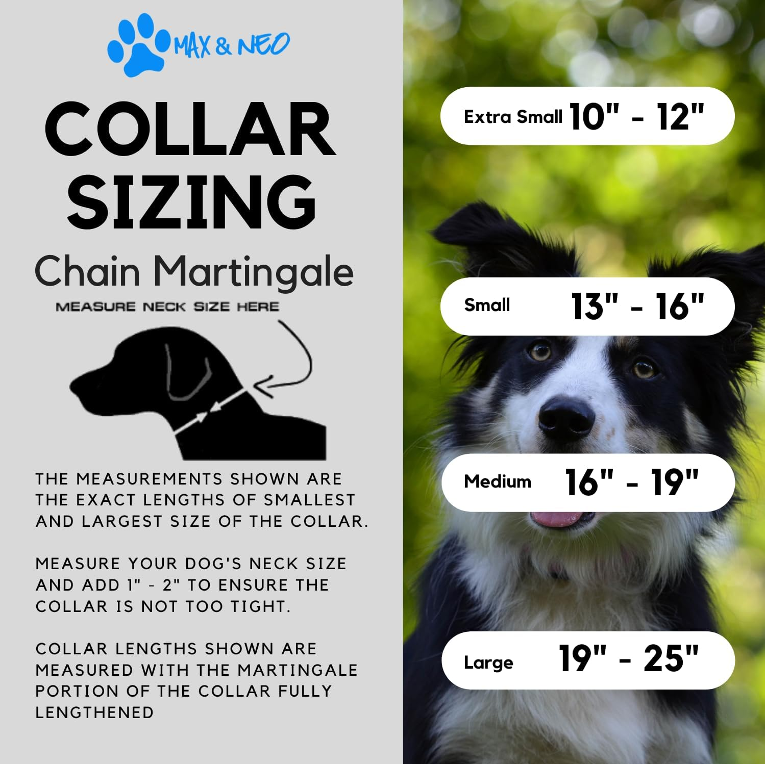 Max and Neo Stainless Steel Chain Martingale Collar - We Donate a Collar to a Dog Rescue for Every Collar Sold (Medium, Teal)