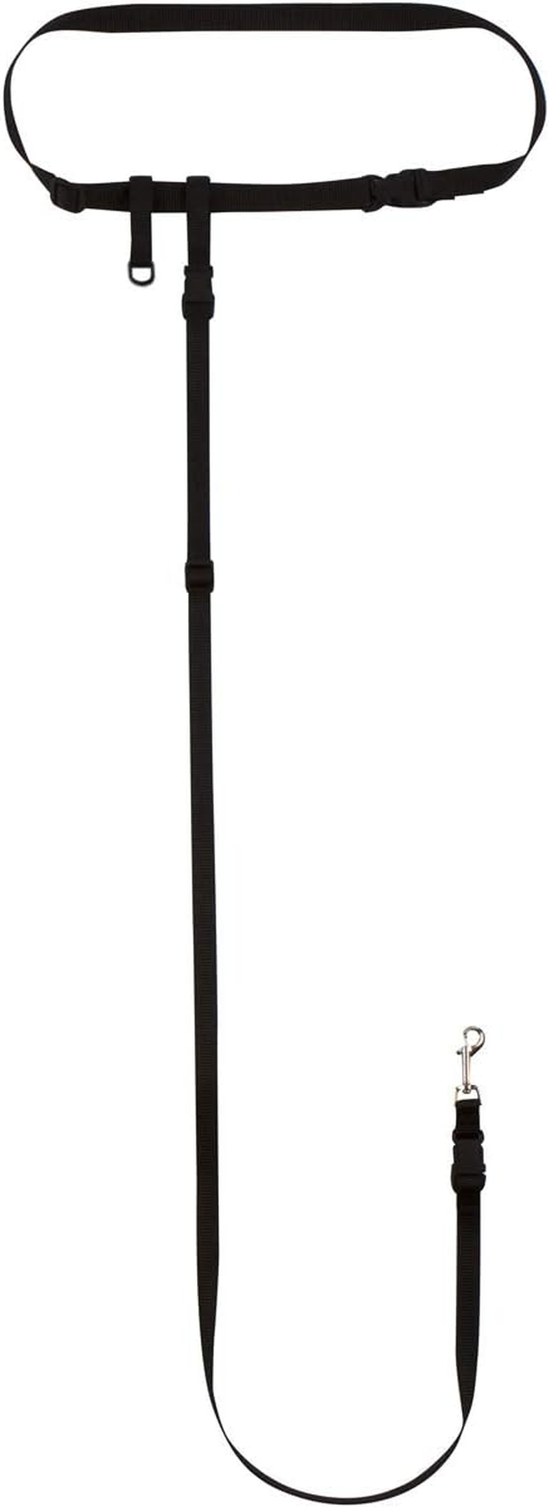 Adjustable Hands Free Dog Leash, Great Leash for Running, Jogging and Training Made in USA by the Buddy System, Regular, Black