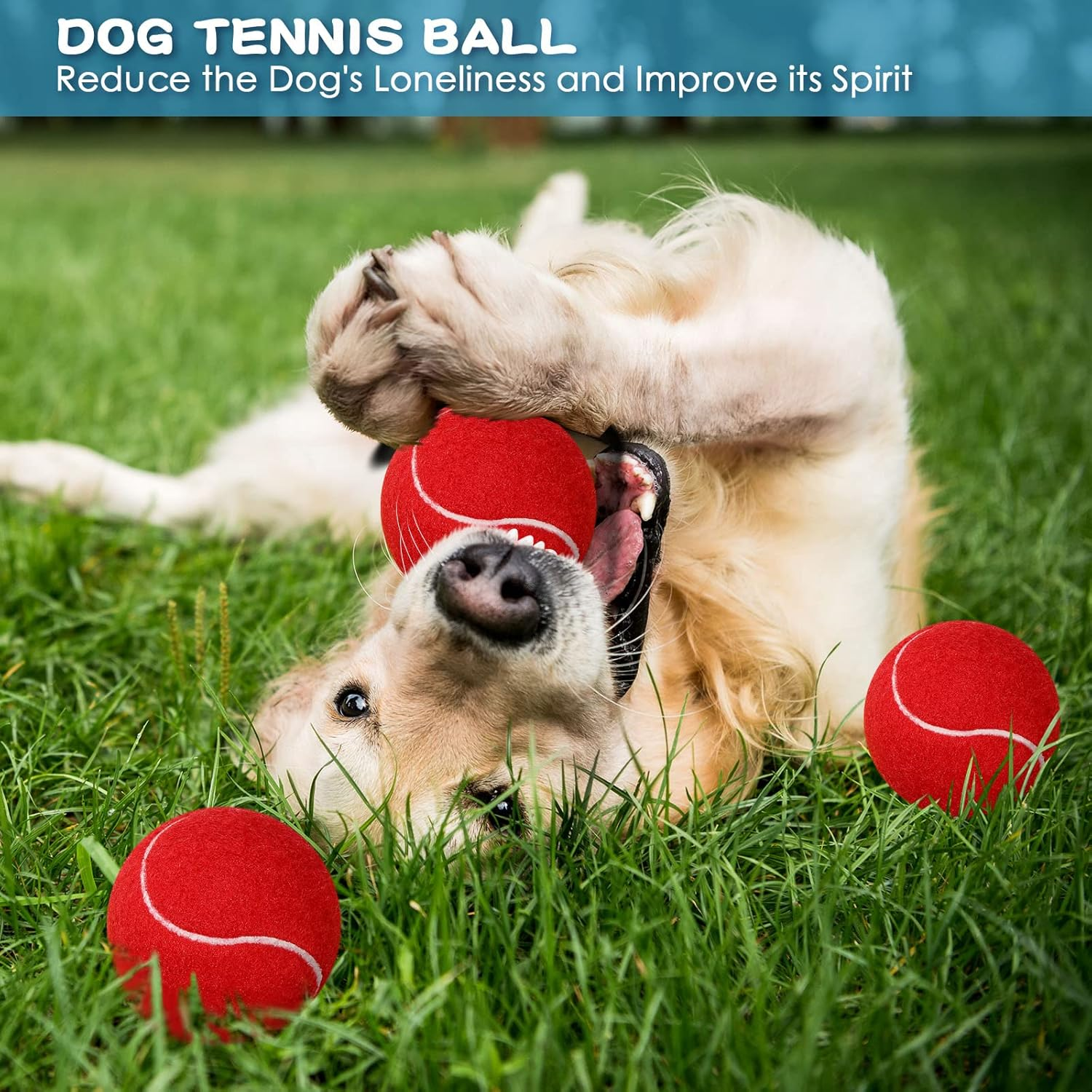 Yunsailing 24 Pack Dog Tennis Balls Pet 2.5'' Colored Mini Tennis Puppy Ball Toys for Large Medium and Small Dogs, Toy Ball for Training, Play Exercise and Fetch 8 Colors image number 6
