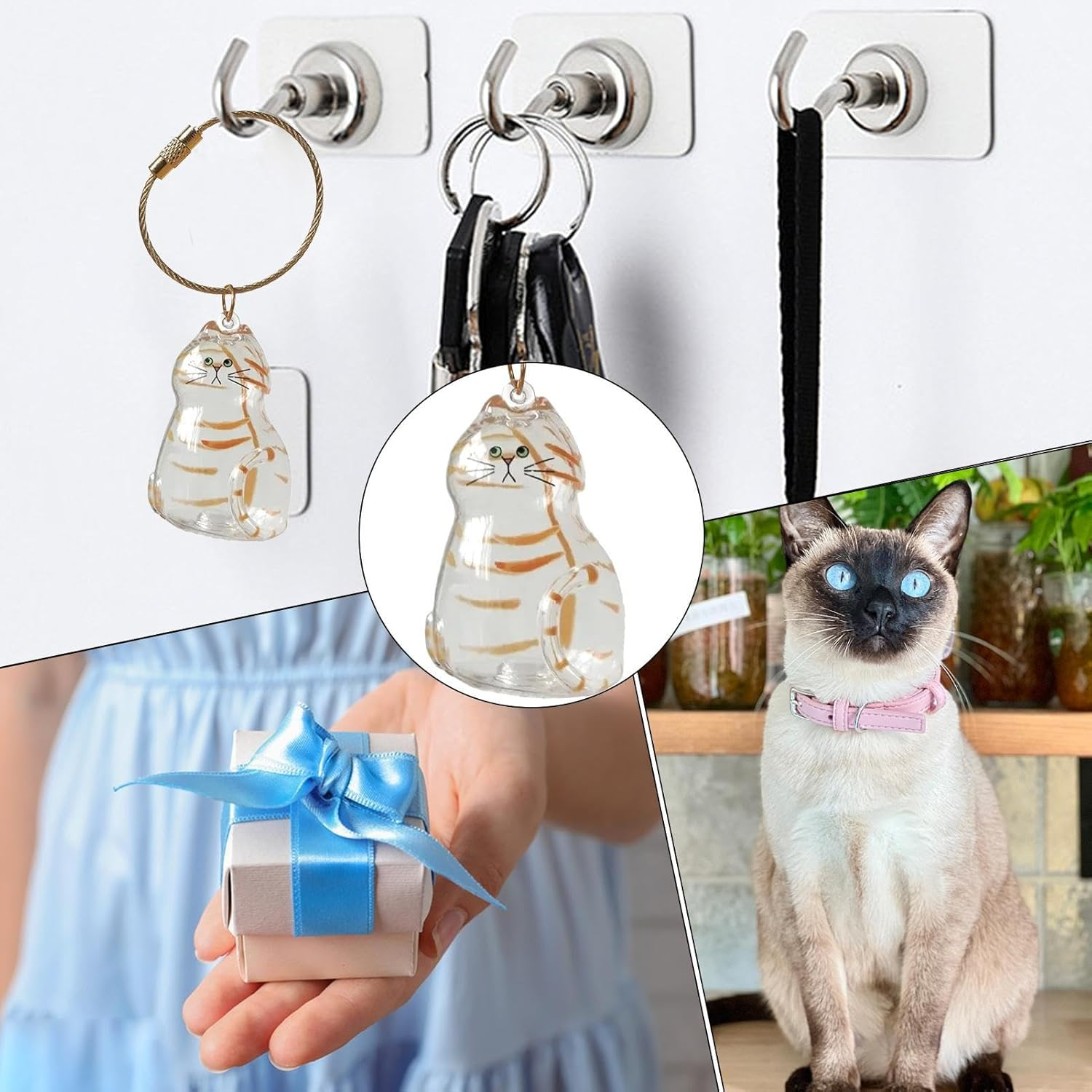 Transparent Cat Hair Storage Box, Cat Hair Storage Bottle, Pet Memorial Keepsake, with Meaningful Sympathy, Clear and Compact Design, 4.5Cm, for Friends & Family image number 4