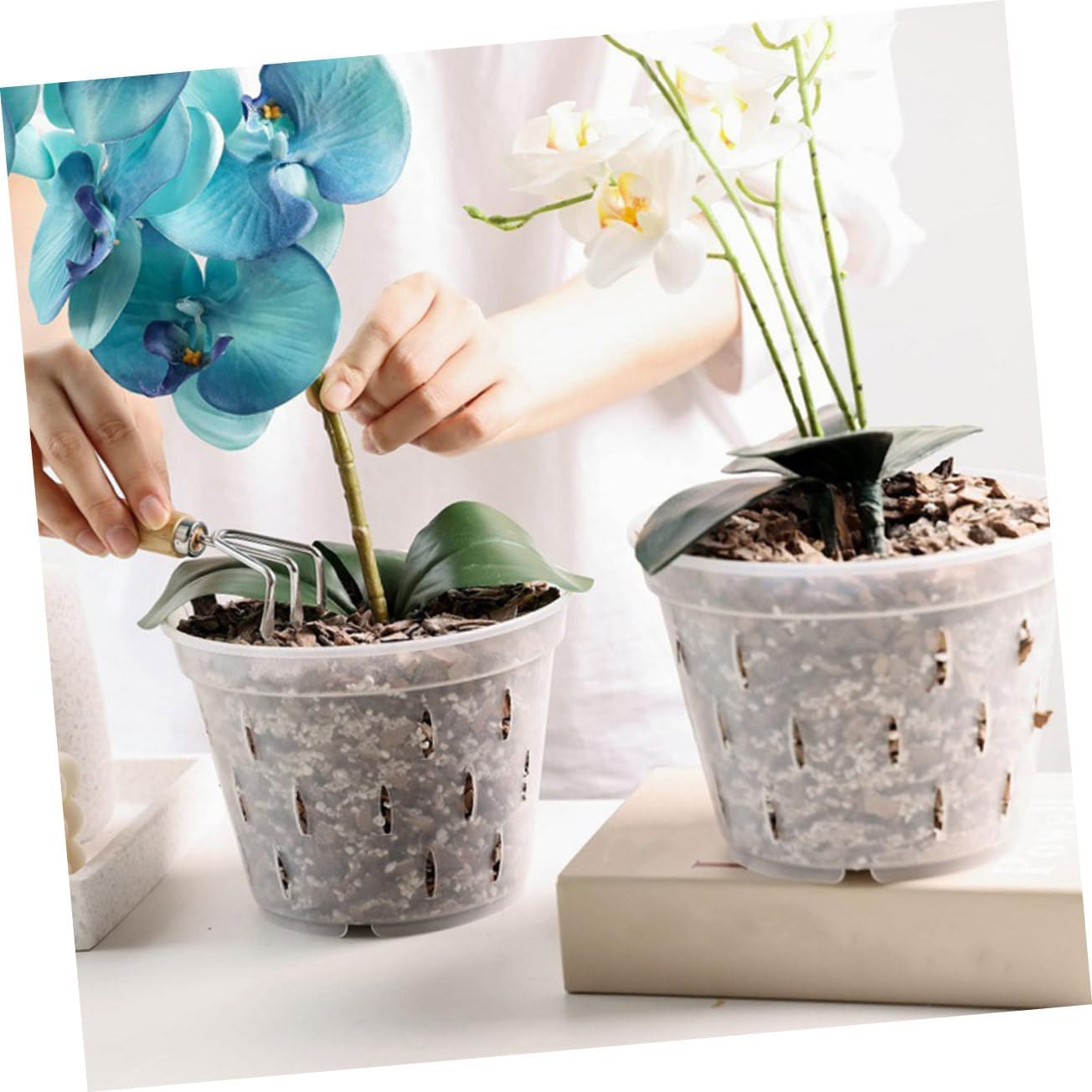 5Sets Clear Orchid Pots with Drainage and Saucers Breathable Slotted for Healthy Root Growth Transparent Flower Containers for Orchids and Outdoor Plants image number 3