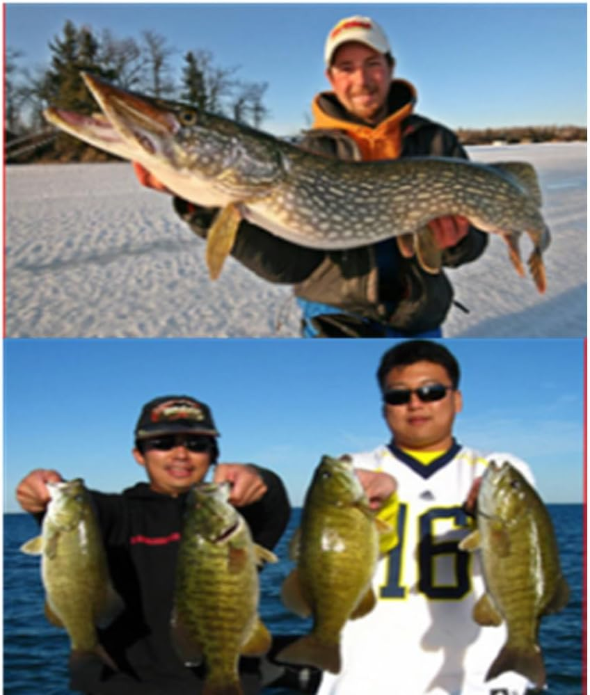 10 PCS Special Spinner Spoon Vibrating Jigging Fishing Lures, Mini Artificial Hard Baits for Trout Bass Freshwater Saltwater Fishing Tackle Gear image number 5