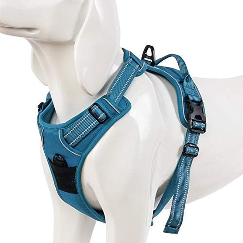 WINHYEPET Truelove Dog Harness No-Pull Reflective Adjustable Pet Harness with 2 Lead Clips, Easy Control Handle for Small, Medium and Large Dogs, TLH5651