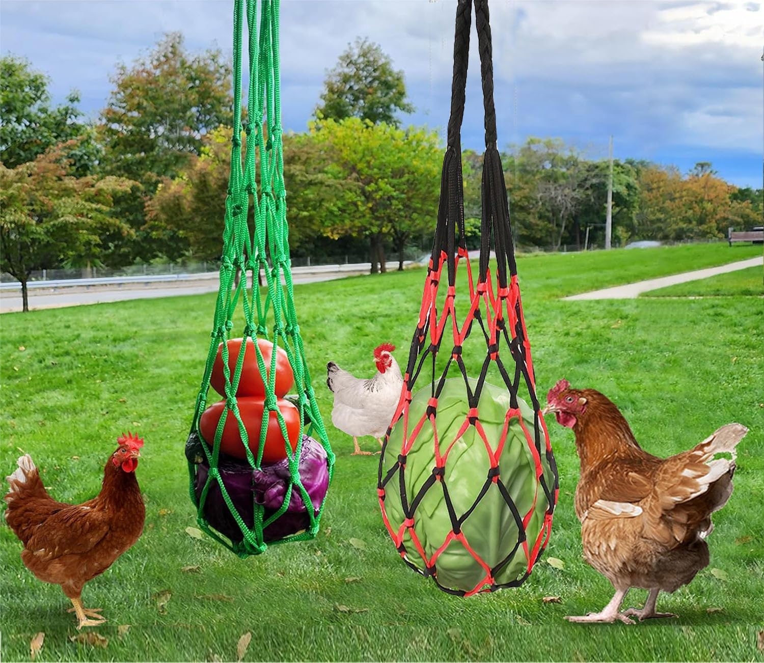 Hangable Chicken, Duck and Goose Feeding Net Bag, Parrot Feeder, Toys, Hanging Tool for Cabbage, Lettuce, Corn, Tomatoes (Green)
