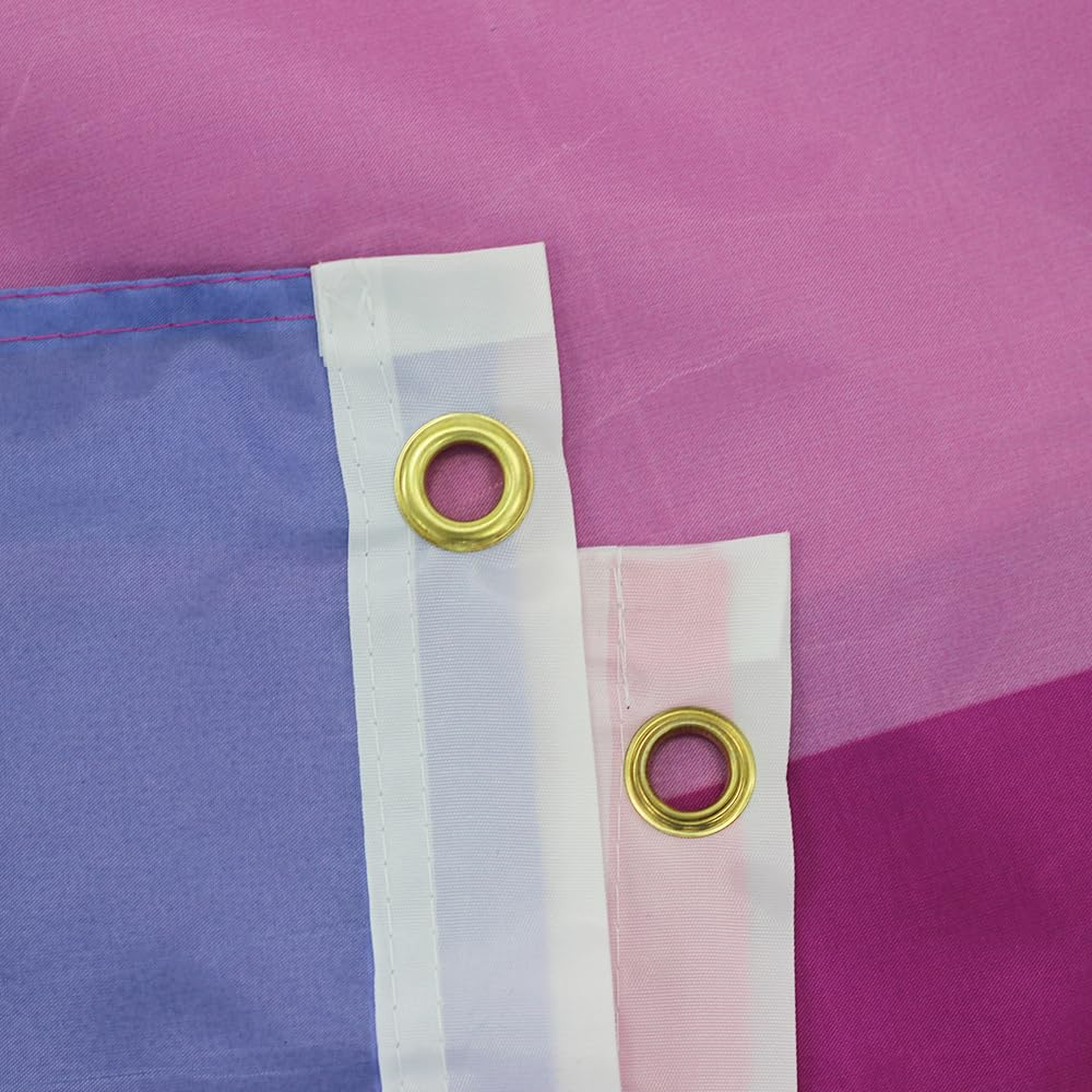 FLAGLINK Ominisexuality Pride Flag 3X5Fts - Pansexuality Omni Pride Banner image number 6