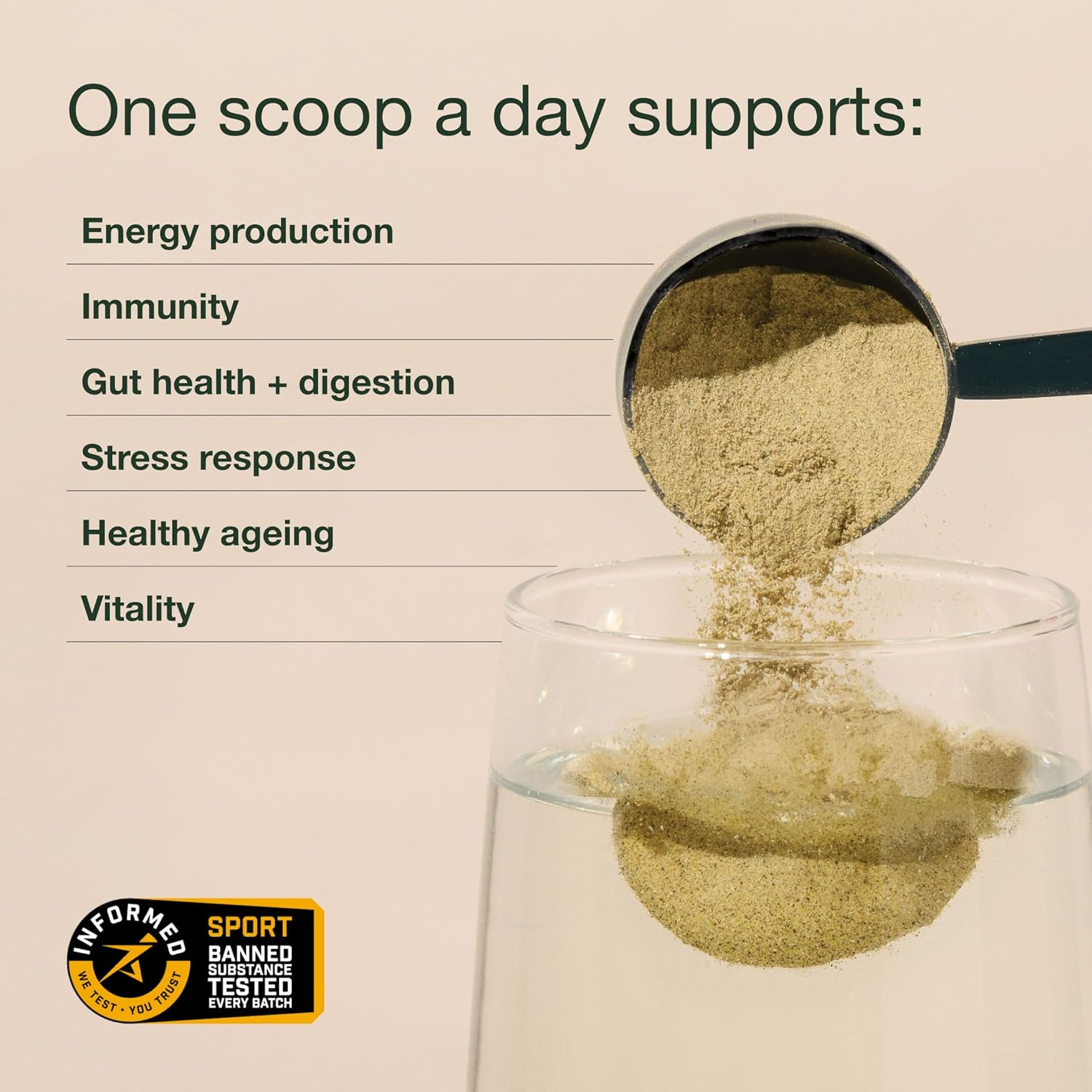 Greens Powder by Nuzest &ndash; Good Green Vitality &ndash; Filled with Vitamins, Minerals & Superfoods &ndash; Vegan Multivitamin Greens Drink- Gluten Free - Dairy Free - 300G - 30 Servings image number 5