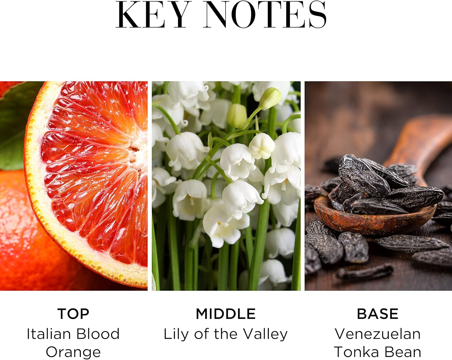 Elizabeth Arden White Tea Fraiche image number 4