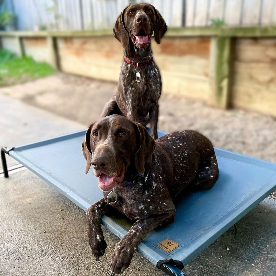 Charlie'S Heavy Duty Breathable Easy-To-Assemble Scratch-Resistant Elevated Trampoline Hammock PET Bed Dog Cat Summer Cool Cot - Grey Extra Large