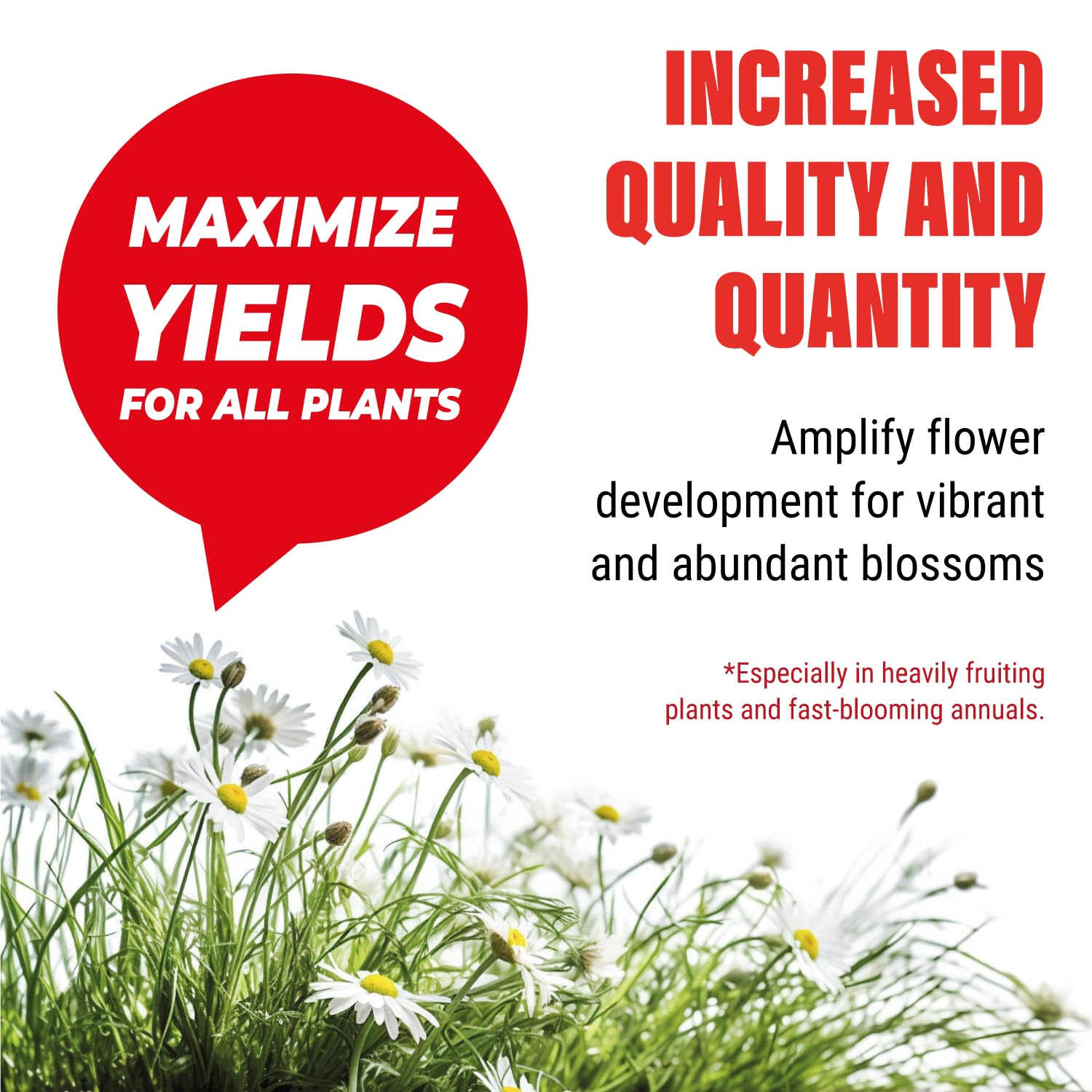 Bloom Booster Fertilizer as Hydroponic Nutrients. Use It in Soil, and General Hydroponics - Mass Wizard 0-15-16 - Phosphorus and Potassium Fertilizers. Big Bud Liquid Fertilizer - 1L image number 2