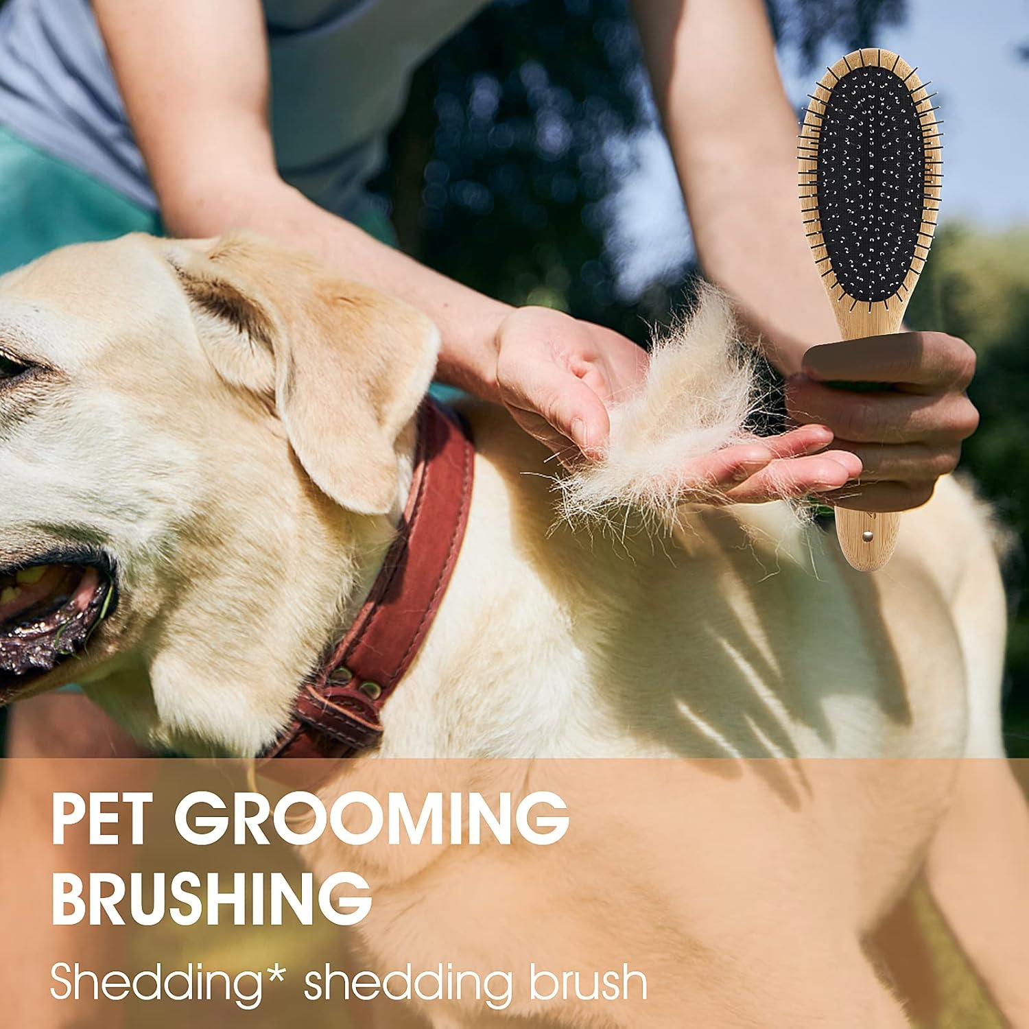 Molain Dog Pin Brush Airbag Wooden Comb Pin Brush- Dog Cat Professional 20Mm Stainless Steel round Pins Grooming Brush with Bamboo Handle, Airbag Comb No Scratching Any Hairs Type Dog or Pets(1Pc)