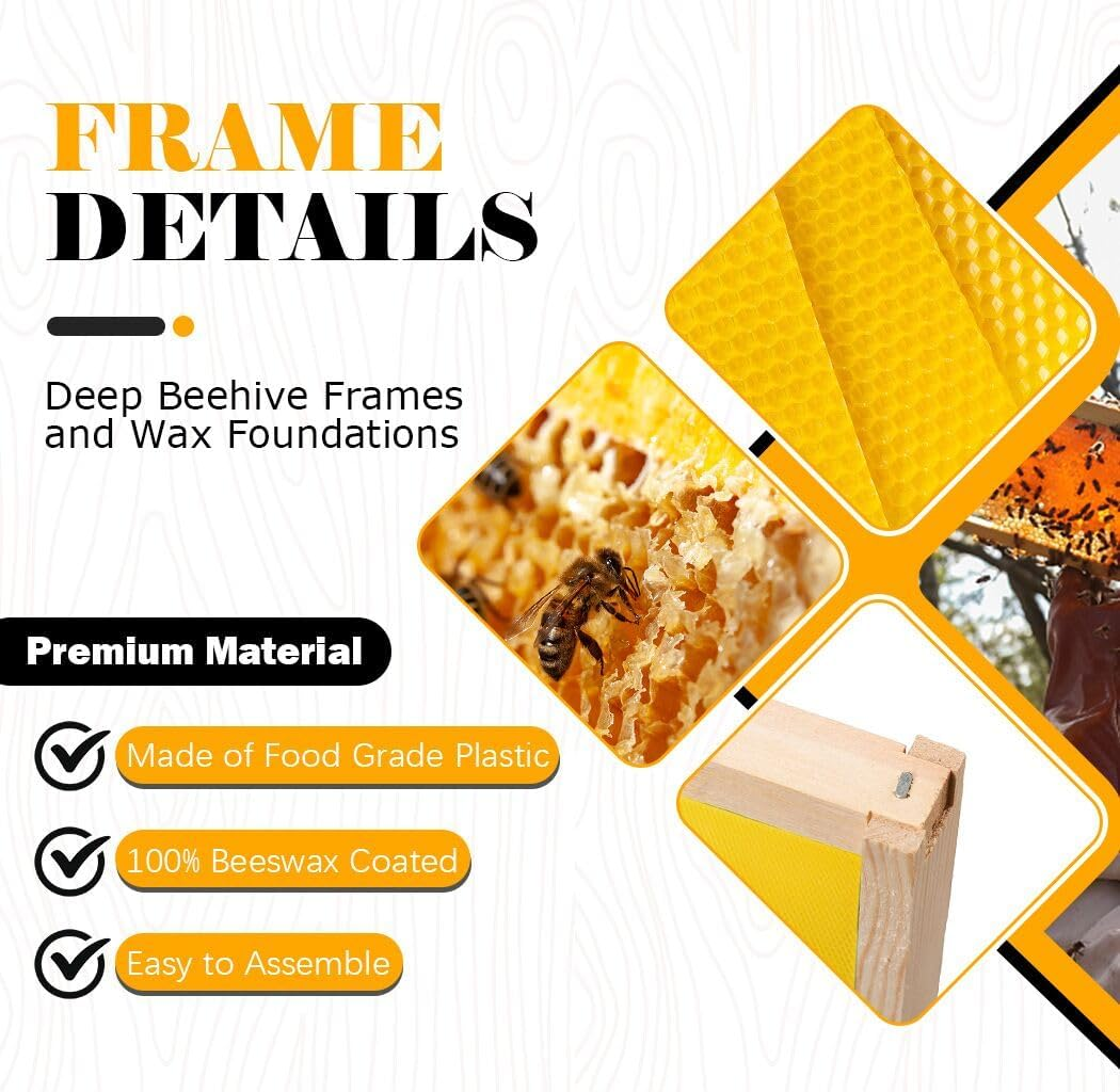 10 Beehive Frame with Beeswax Coated Plastic Foundation Sheet,Deep Frame Kit with Foundation Beekeeping Supplies (Yellow) - Yellow image number 4