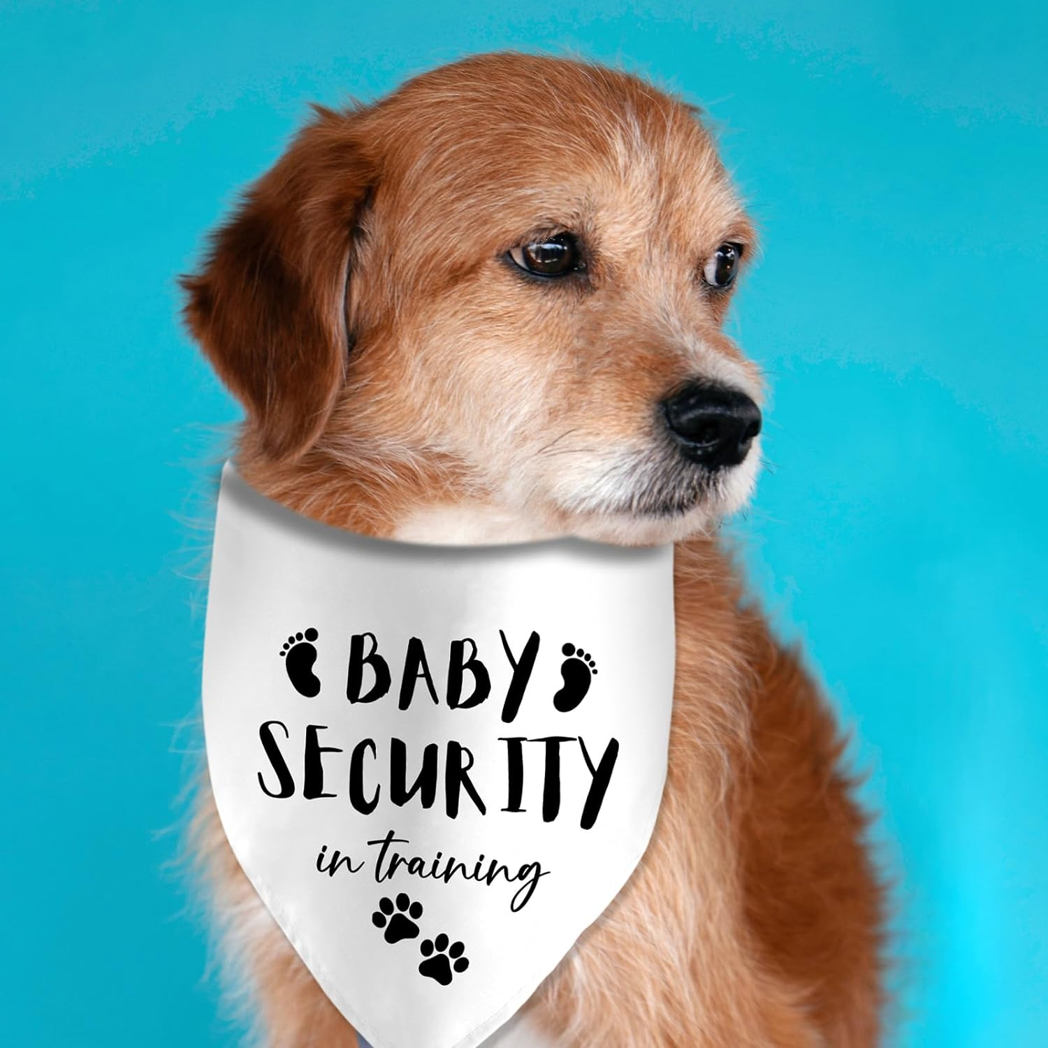 Baby Security in Training Printed Dog Bandana Pet Scarf Dog Pregnancy Announcement Bandana Pregnancy Dog Bandana for Dogs Pet Accessories for Dog Lovers Pregnancy Reveal Ideas image number 5