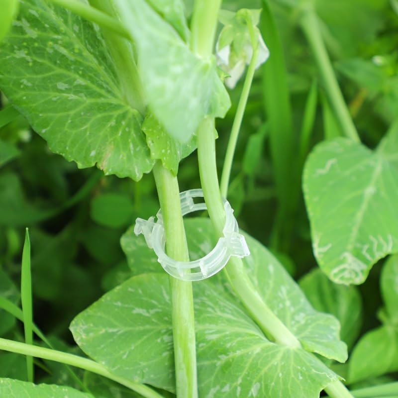 100 PCS Plant Support Clips, Tomato Clips, Garden Clips to Grow Upright Makes Plants Healthier, Plant Ties for Tomato Cucumber Flower Squash Vine, Plant Clip for Support,Tomato Vine image number 2
