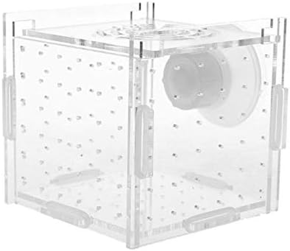 Aquarium Acrylic Fish Bowls Tank Breeding Isolation Box with Sucker for Baby Fish Hatchery Rooms Incubator Reptile Cage (Color : White, Size : ONE Size) image number 2