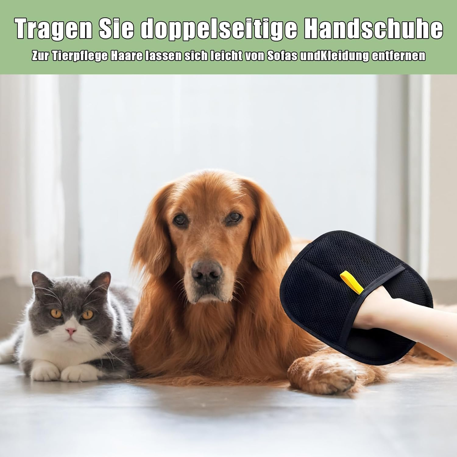 Set of 2 Fellblitz Cat Brush and Pet Hair Remover Glove, for Effective Grooming, Fur Flash Brush and Hair Removal Glove for Dogs and Cats, 20 Cm Length image number 6