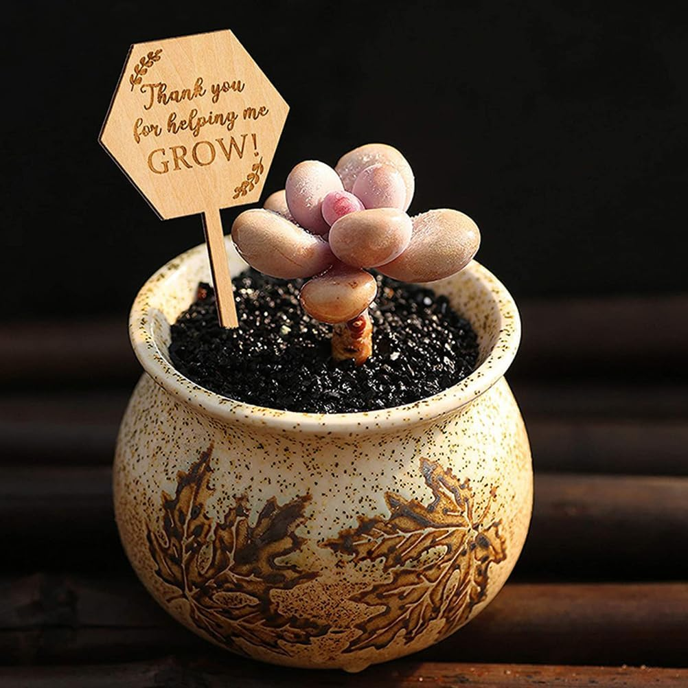 BESPORTBLE Plant Labels Plant Tags: 40Pcs Wood Plant Markers Thank You for Helping Me Grow Succulent Tags Teacher Appreciation Wooden Nursery Garden Labels for Vegetable Potted Plants image number 5
