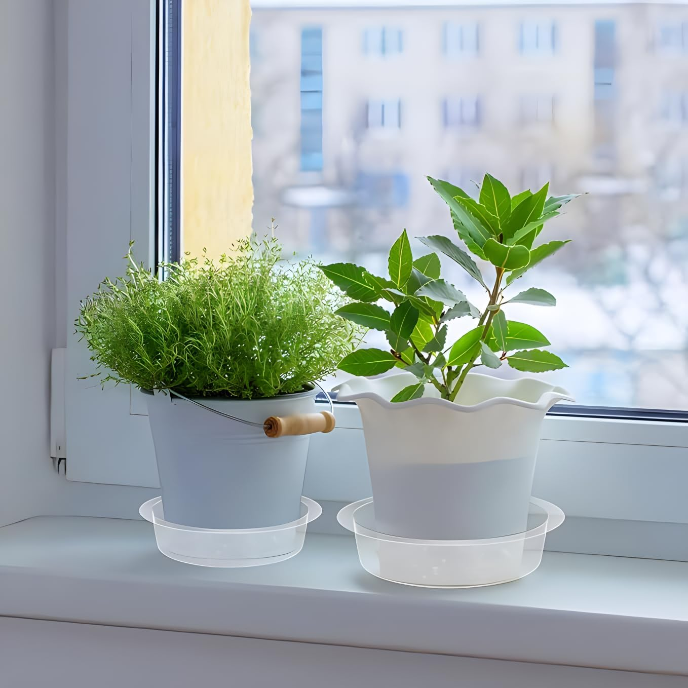 24 Pcs Clear Plastic Plant Pot Saucers, 6,8,10,12 Inch 4 Size Plant Saucers Flower Pot Tray No Holes Water Catcher Trays Suitable for Indoor and Outdoor Garden Container Planters. image number 5