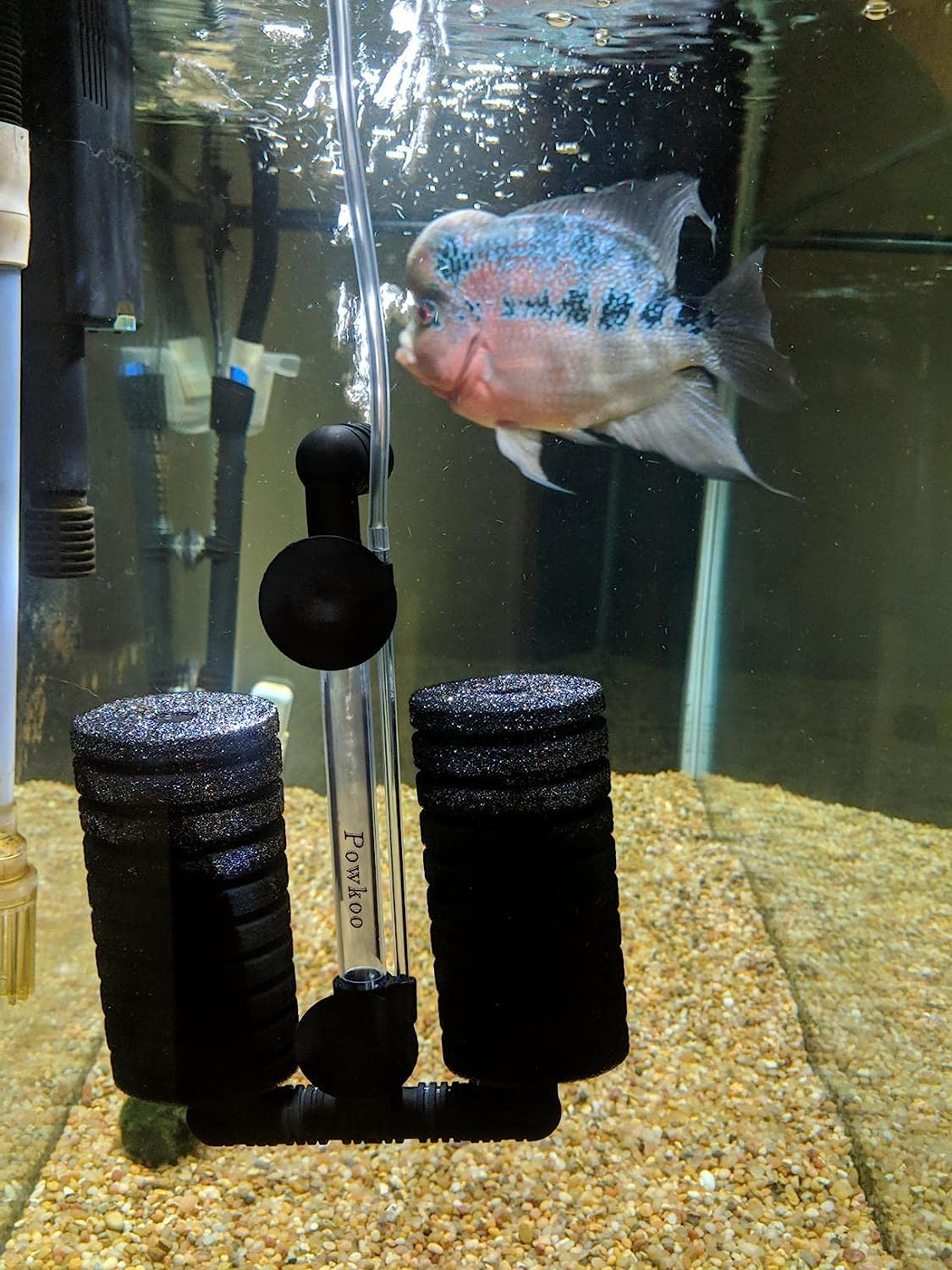 Aquarium Filter Sponge Filter Bio Filter Shrimp Betta Breeding Goldfish Fish Tank image number 2