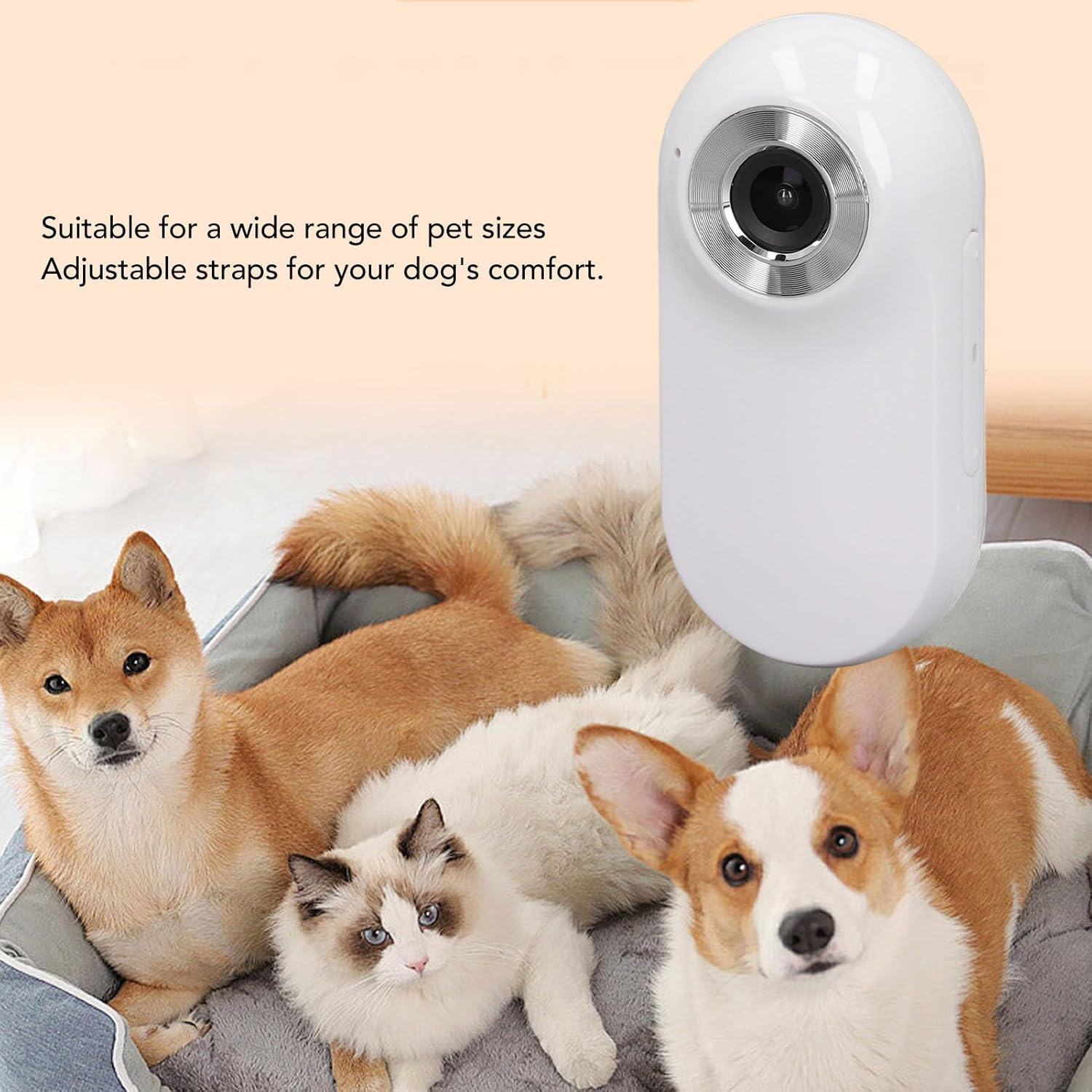 Pet Action Camera, High Definition Miniature Dog Collar Camera, Outdoor Camera with Video and Photo Function for Dog Cat, Easy to Use image number 5