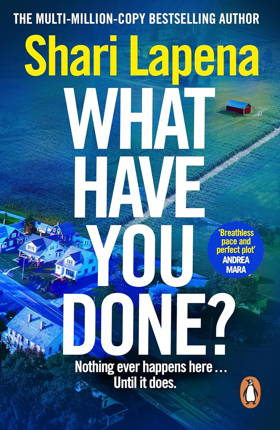 What Have You Done?: the Addictive and Haunting New Thriller from the Richard & Judy Bestselling Author