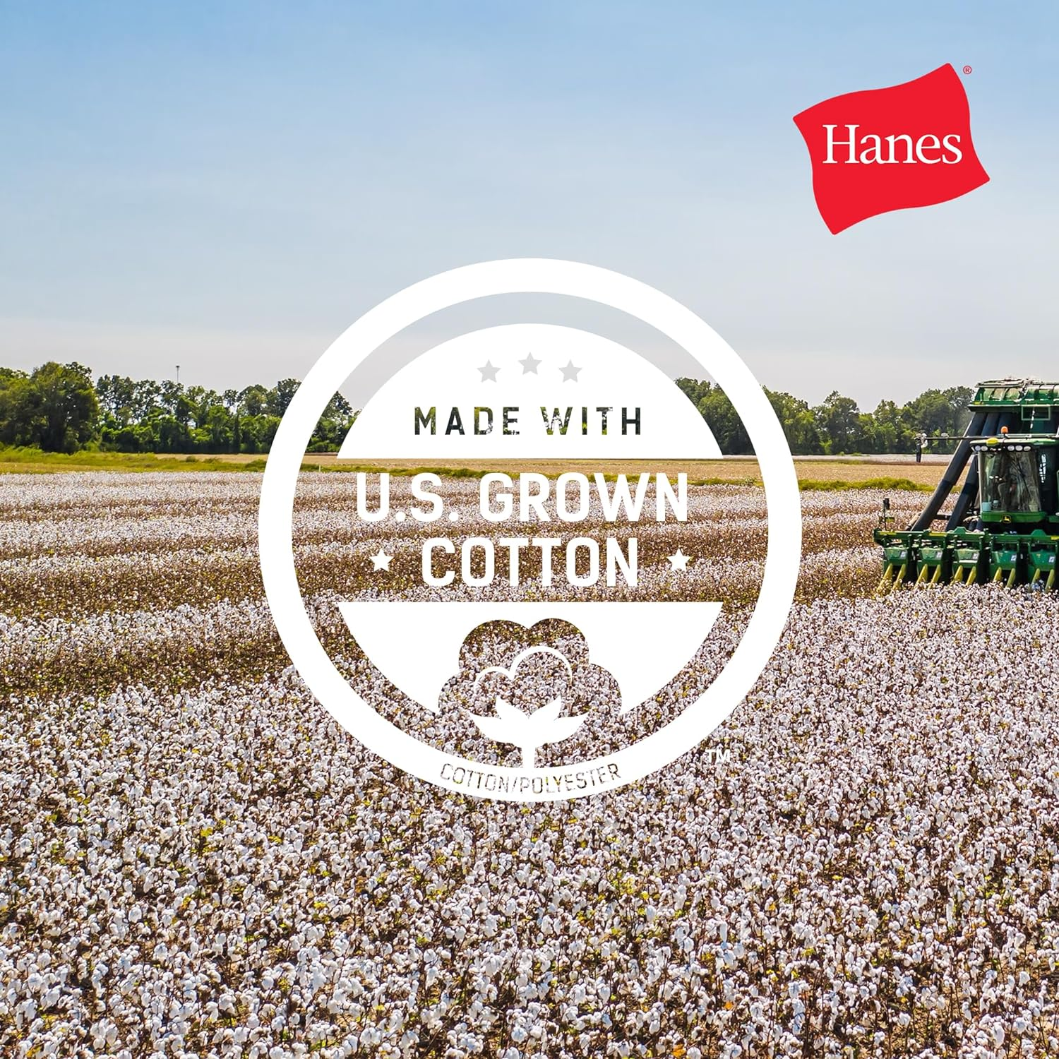 Hanes Women'S Ecosmart Fleece Petite Sweatpants, Open Bottom Sweatpants, Regular & Petite Sizes image number 6