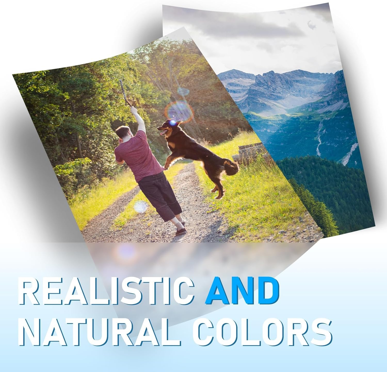 Multipack 29 XL Cartridges Replacement for Epson 29 Epson 29XL Printer Cartridges for Epson XP-342 XP-332 XP-442 XP-245 XP-352 XP-345 XP-445 XP-235 XP-435 XP-432 XP-335 (6 Black)