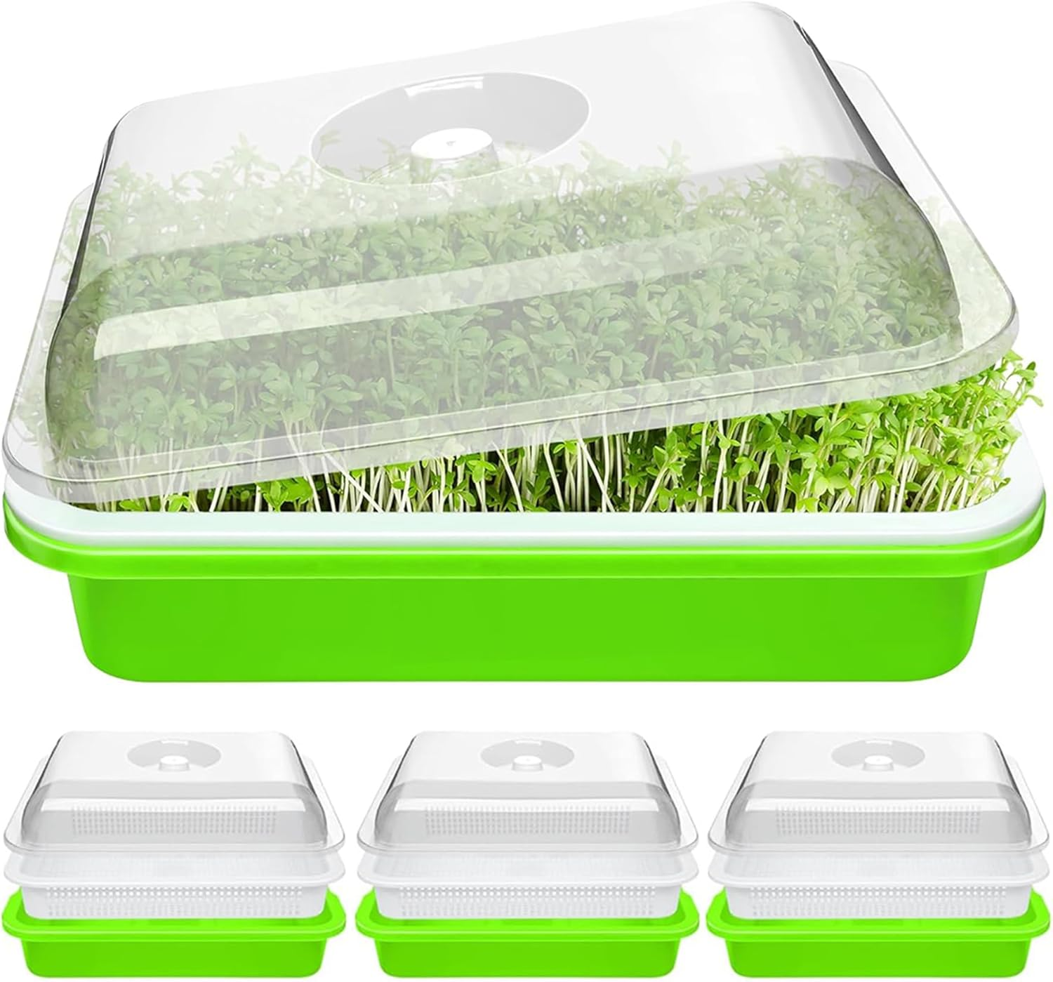 FORYUSE 3 Pack Seed Sprouter Tray with Drain Holes BPA Free PP Soil-Free Wheatgrass Grower with Lid Microgreens Germination Sprouting Kit for Garden Home Office image number 5