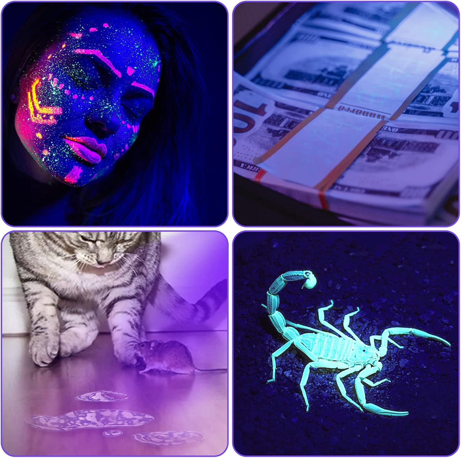 Geekhigh UV Torch 395 Nm Zoomable Pen Black Light Torch with 3AAA Battery Ultraviolet Torch Pet Urine Detector for Cat Dog Stains, Bed Bugs, Household Toilet