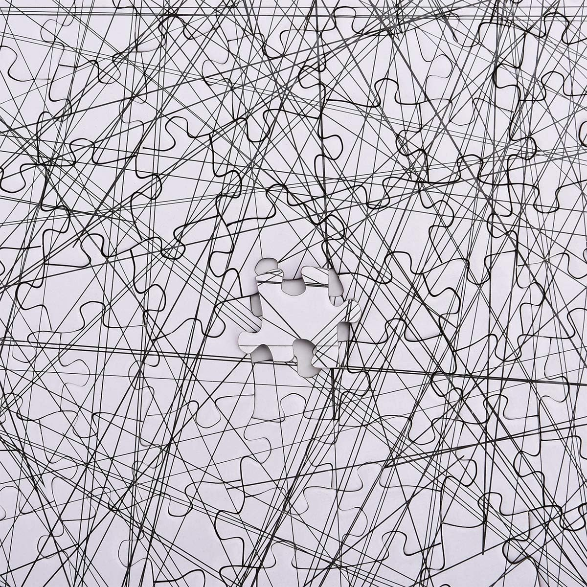 Bgraamiens Puzzle-The Lines -1000 Pieces Black and White Simple Fashion Challenge Blue Board Jigsaw Puzzles image number 5