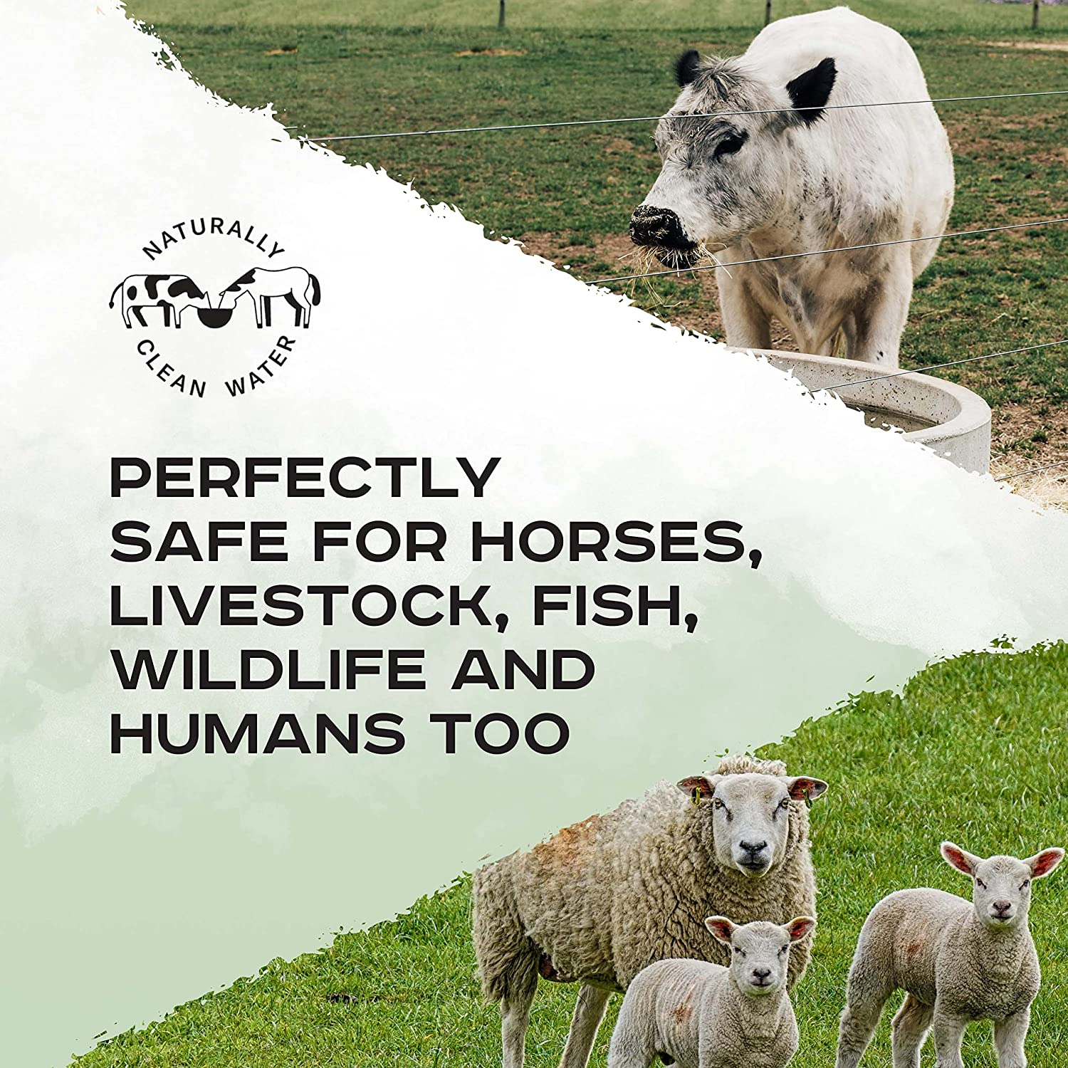 Trough Rocks - All Natural Algae & Bacteria Inhibitors for Horses & Livestock Water Troughs, Cleaner Healthier Water, One Application, Lasts 4 Months, One 3Kg Bag image number 4