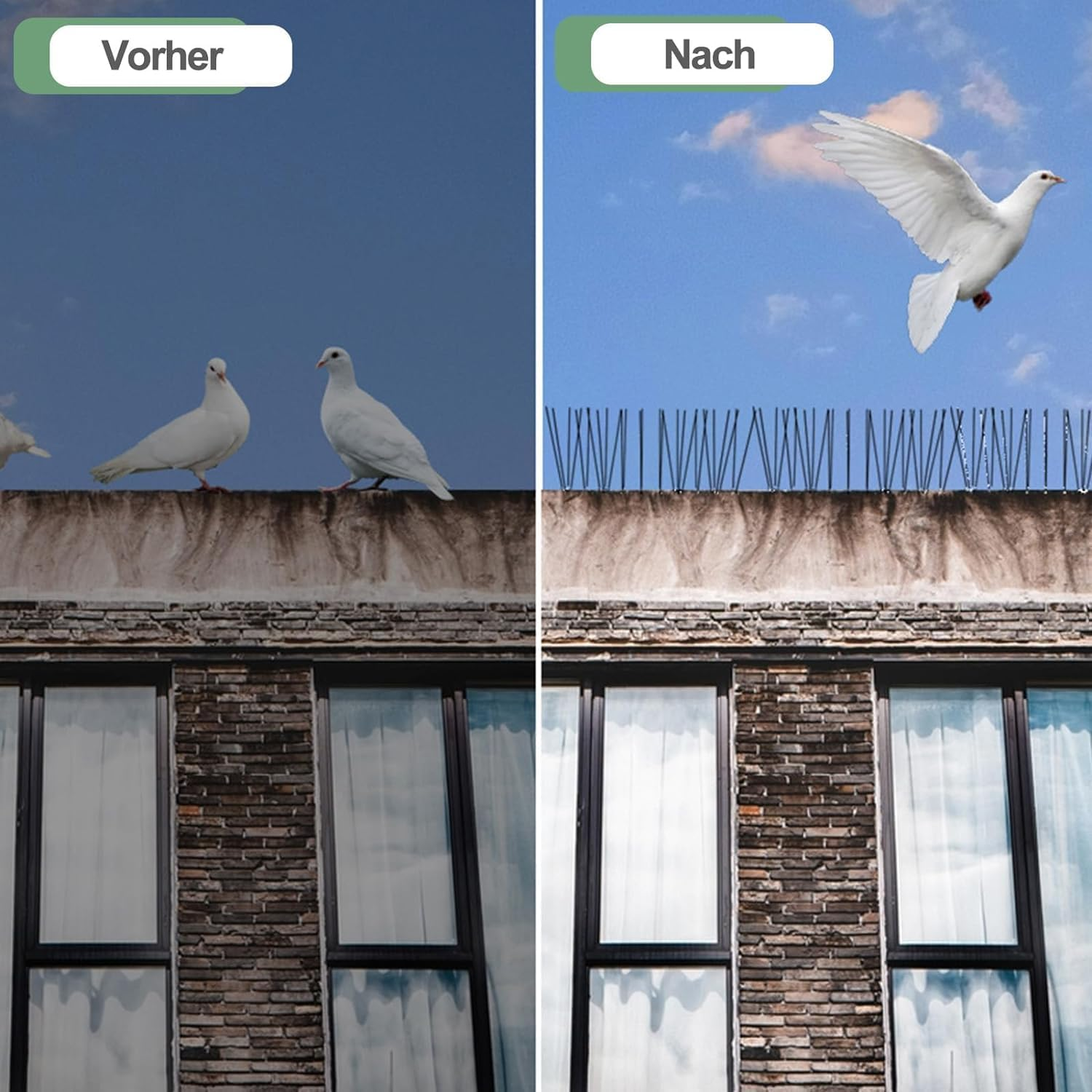 14 Rows Bird Spikes, Betterjonny 3.5M Length Stainless Steel anti Bird Fence Spike Disassembled anti Bird Spikes Smooth Bird Repellent Devices Outdoor for Balcony Roof Garden Window image number 5