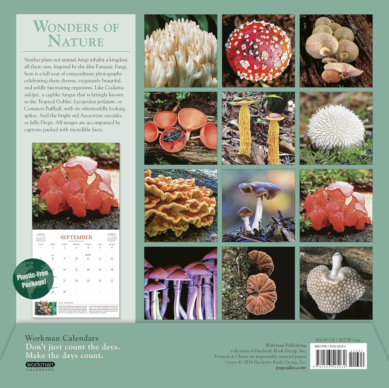 Fantastic Fungi Wall Calendar 2025: Inspired by the Louie Schwartzberg Film image number 3