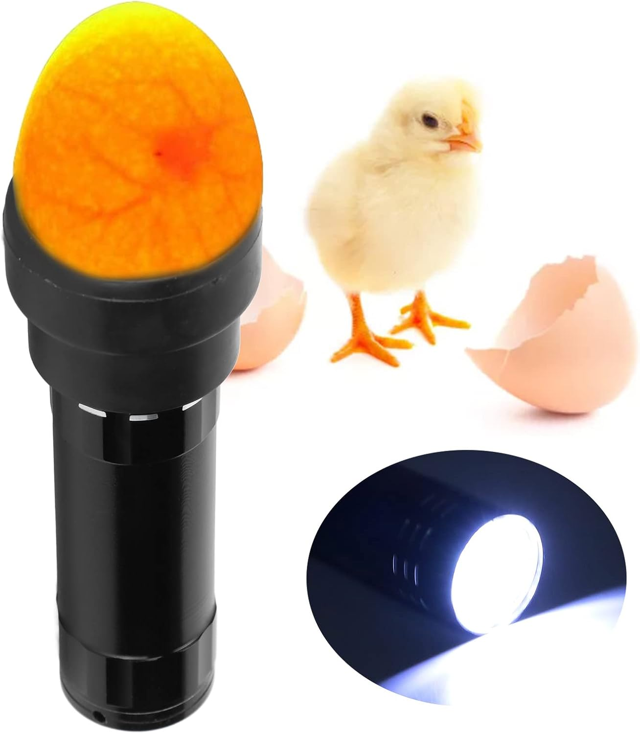 Egg Candler, LED Egg Candler Tester, Bright Cool Light Candling Lamp with Lanyard for Chicken Ducks Birds Goose Incubating, Observing Eggs Development image number 6