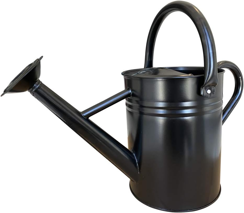 Metal Watering Can for Outdoor and Indoor Plants, Watering Can Decor, 1 Gallon (1 Gallon Green2)