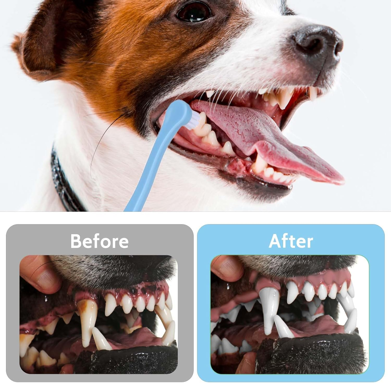 2 Pack Dog and Cat Toothbrush Kit - Mini Head Soft Brush for Deep Clean - Suitable for Puppy, Kitten, Small Pets - Portable Travel Friendly and Easy to Use - Blue+Pink image number 6