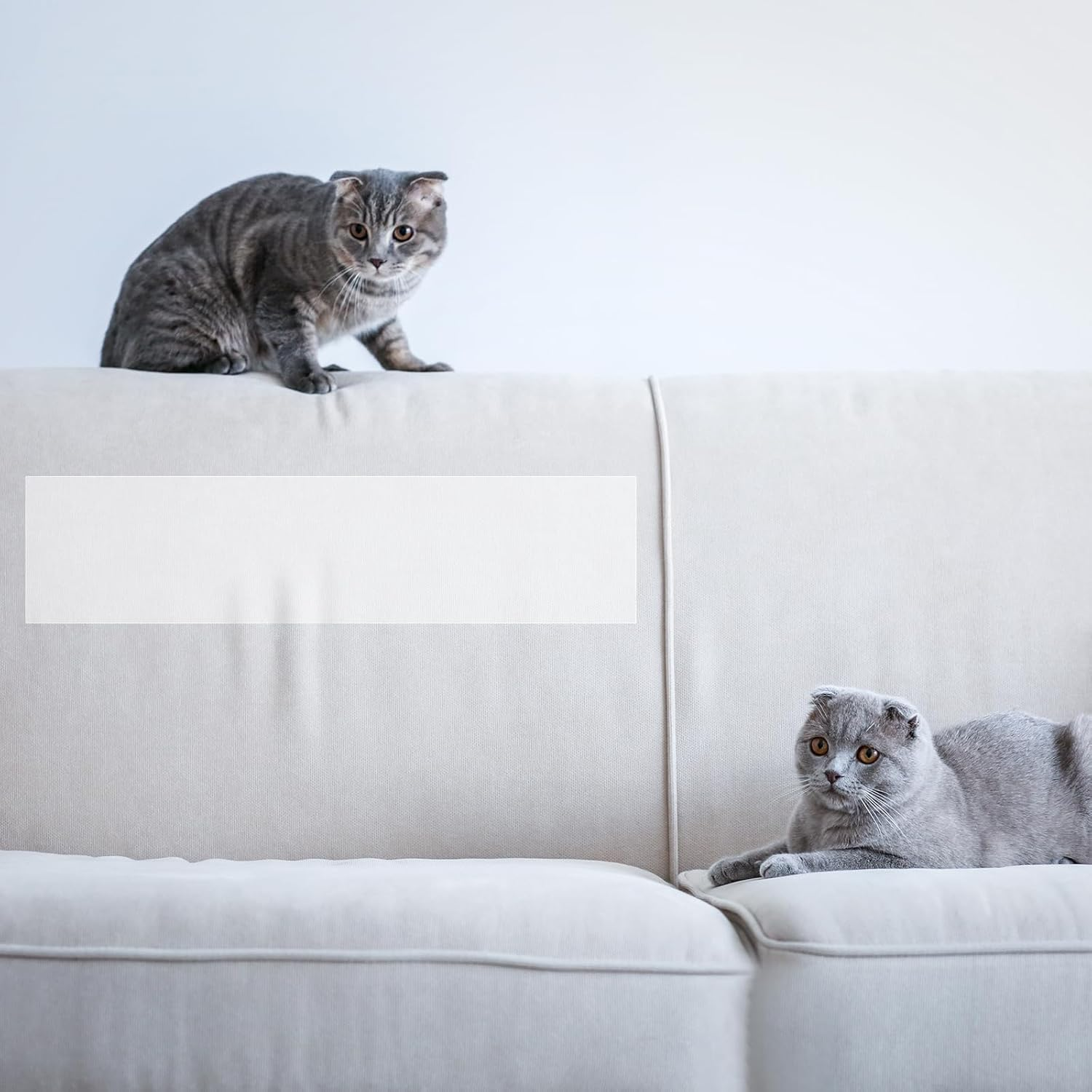Cat Furniture Couch Protector, 20Cm X10M Self-Adhesie Cat Scratch Protector with 30 Spiral Nails for Protecting Upholstered Furniture Sofa (7.6Cm X 27M)