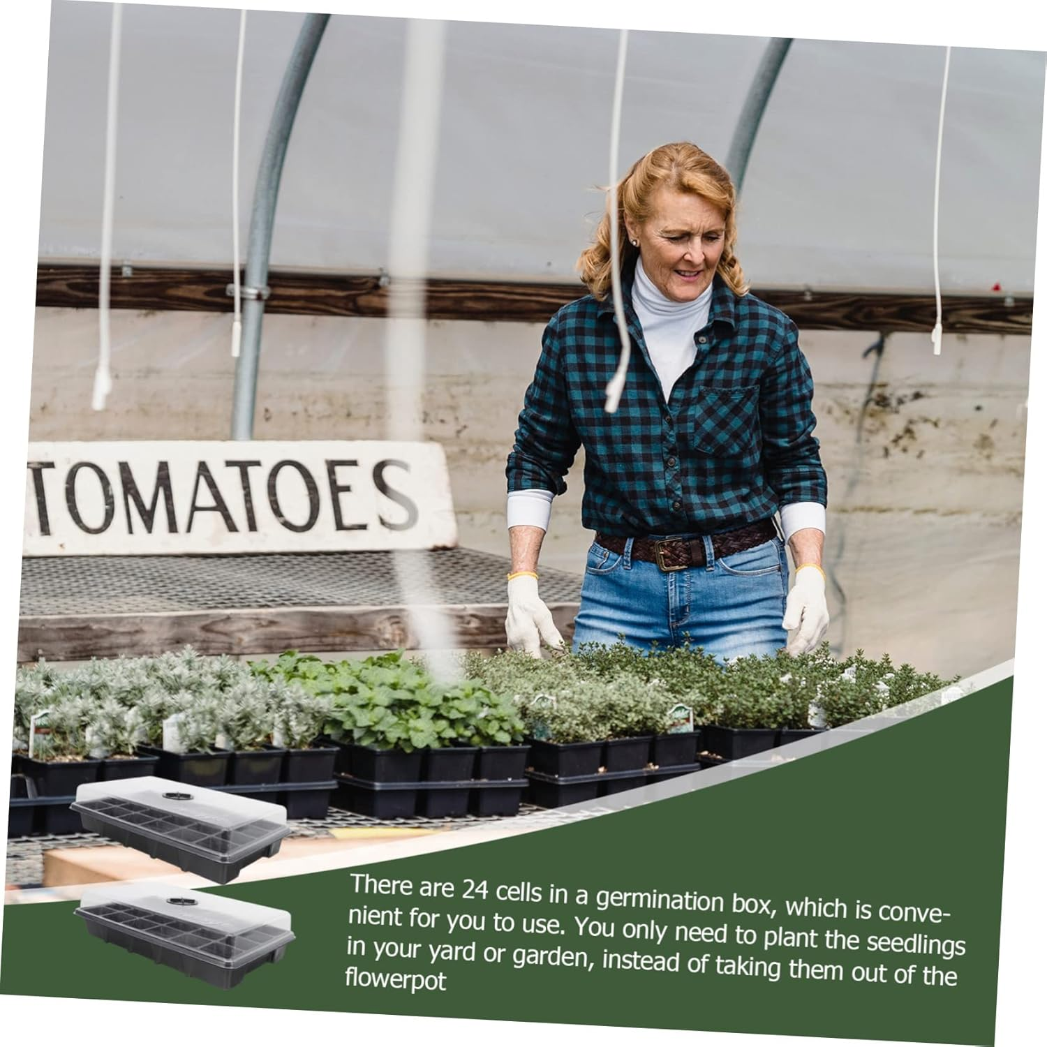 Plant Germination Box Planting Tray for Indoor Gardening 2Pcs 38X23X9Cm with Lid and Cells Waterproof Easy to Clean - Green image number 3