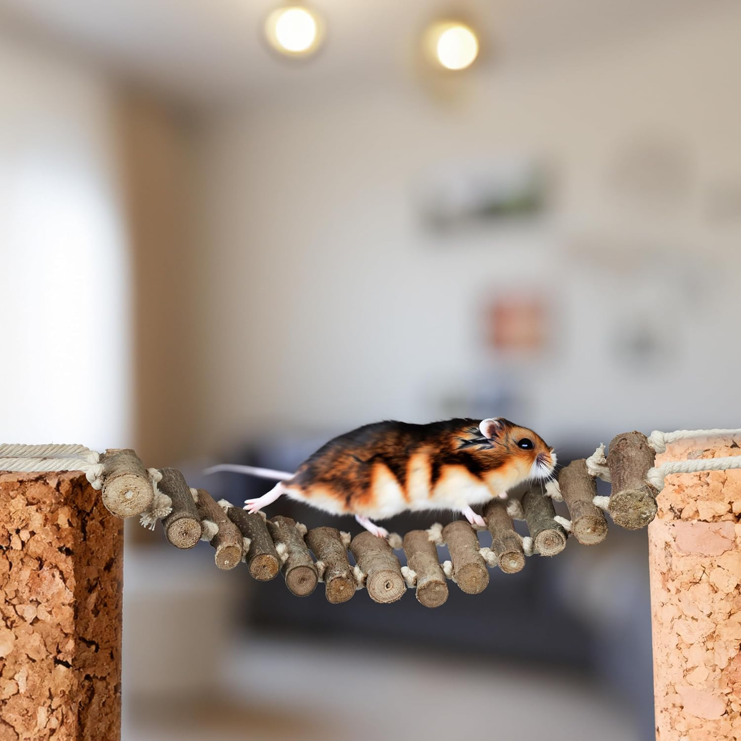 Relaxdays Bird Toy Ladder, Set of 2, Bird Cage Accessories for Budgies, Canary, Wood, Bird Ladder, Natural image number 4