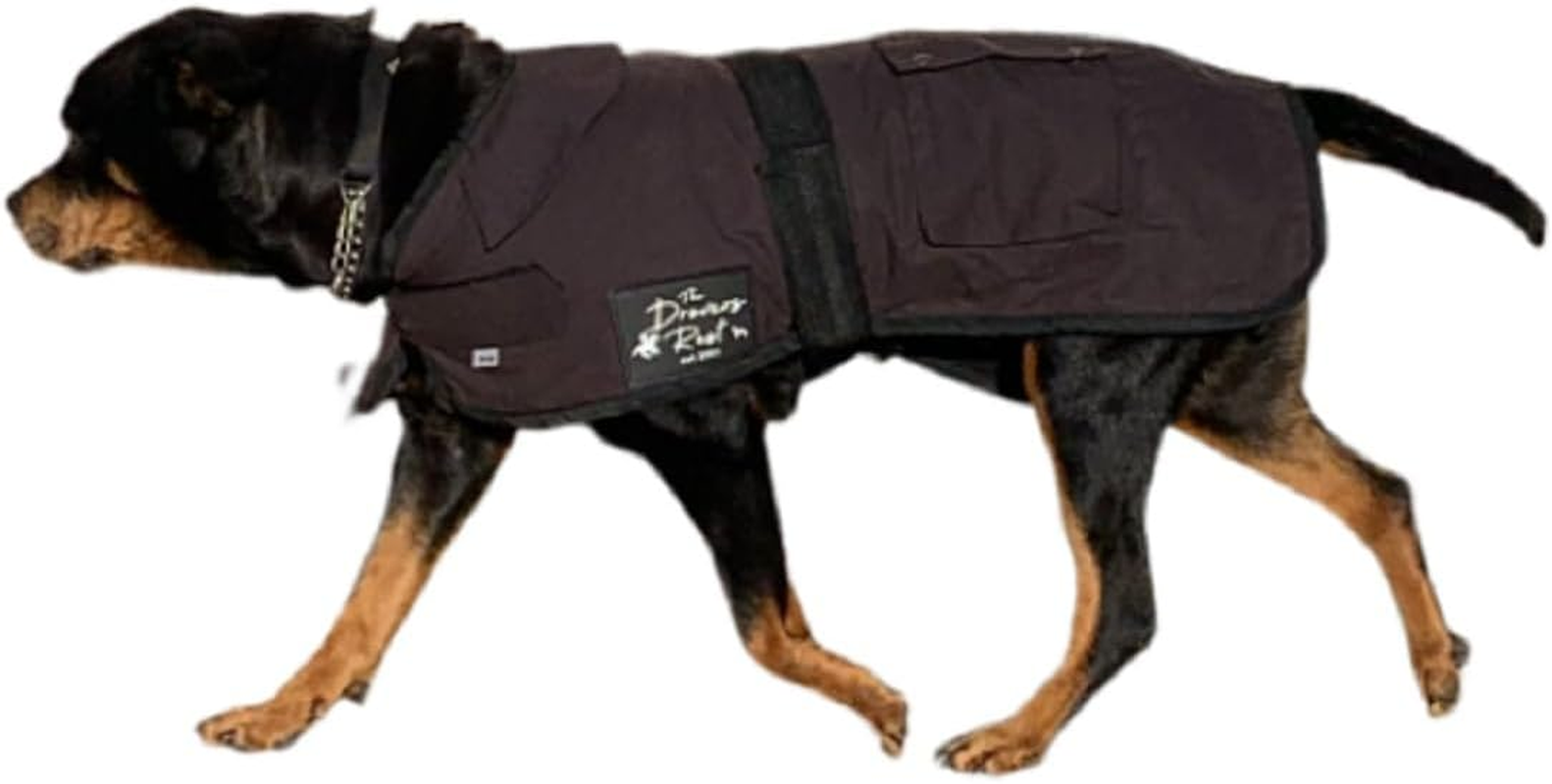 DROVERS Dog and Co Oilskin Coat. Waterproof, Windproof Dog Winter Jacket with Fleece Lining Adjustable Tummy Strap, Two Pockets for Adventure Ready Pets. (35Cm) image number 5